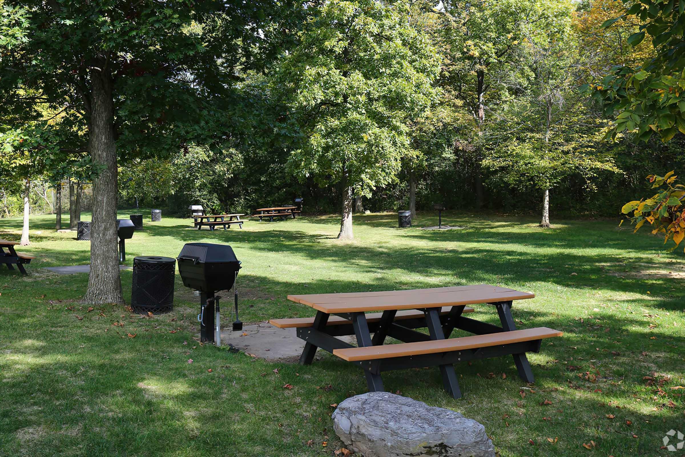 A grassy park area featuring several wooden picnic tables and a charcoal grill. Surrounding trees provide shade, and there are trash cans nearby. The scene conveys a tranquil outdoor space suitable for gatherings and barbecues.