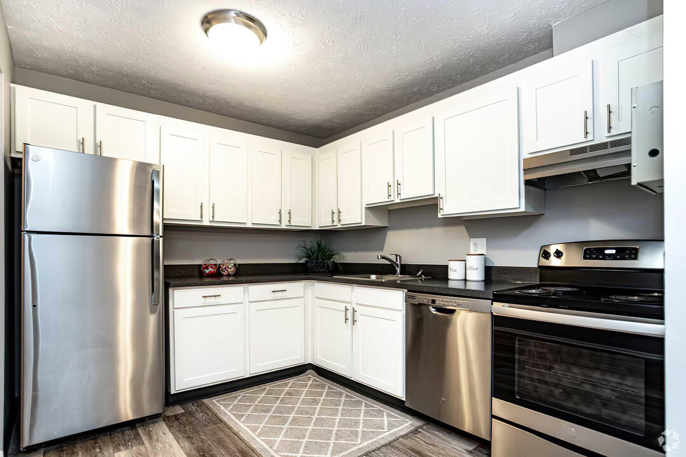 Modern kitchen featuring white cabinetry, stainless steel appliances including a refrigerator, oven, and dishwasher. The countertop is dark, with a small sink and a decorative plant. A light fixture illuminates the space, and a patterned rug is placed on the floor.