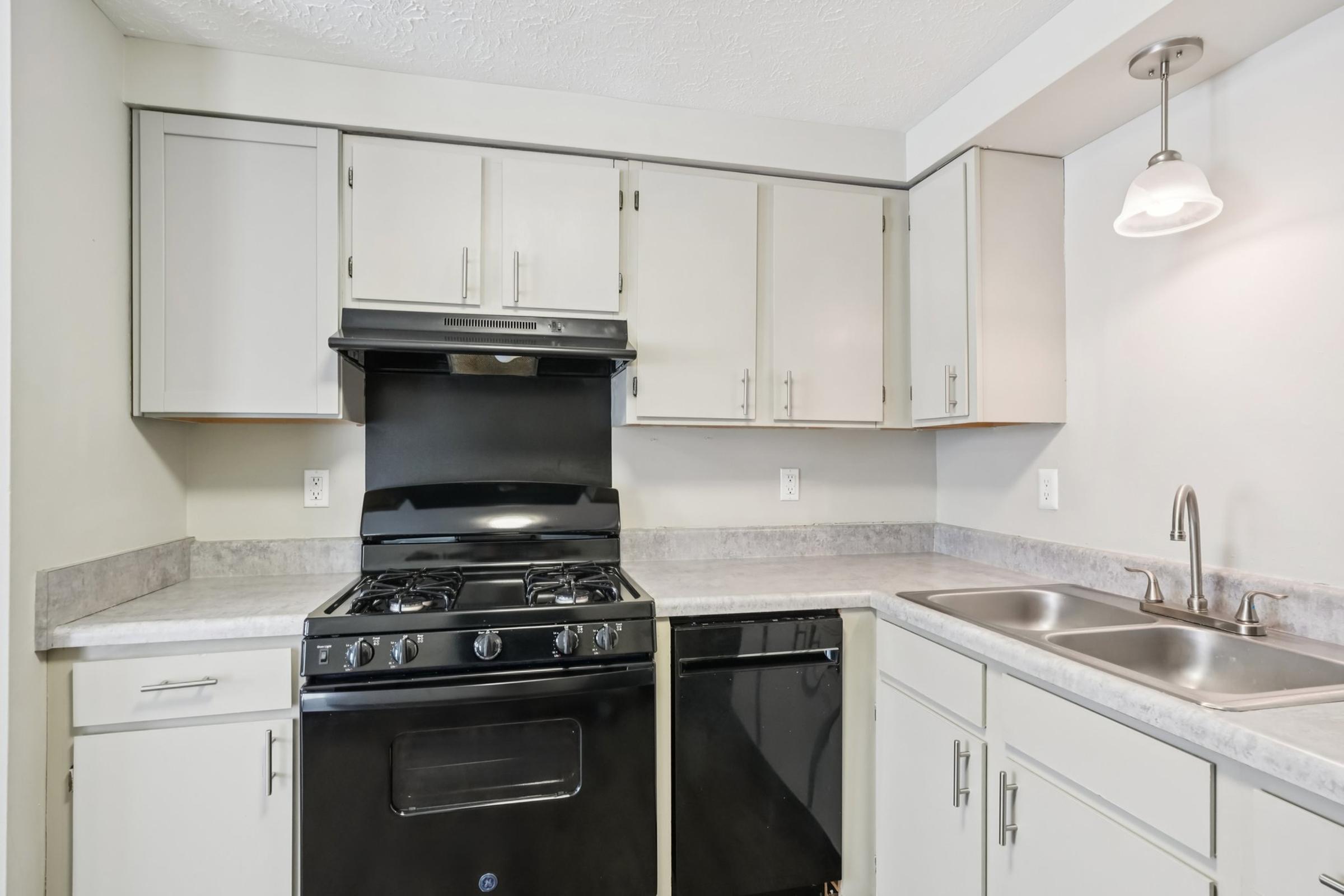 Modern kitchen featuring a black gas stove, black dishwasher, and light-colored cabinetry. The countertops are gray and the sink is double-sided, with a simple hanging light fixture above. The design is clean and functional, suitable for a contemporary space.