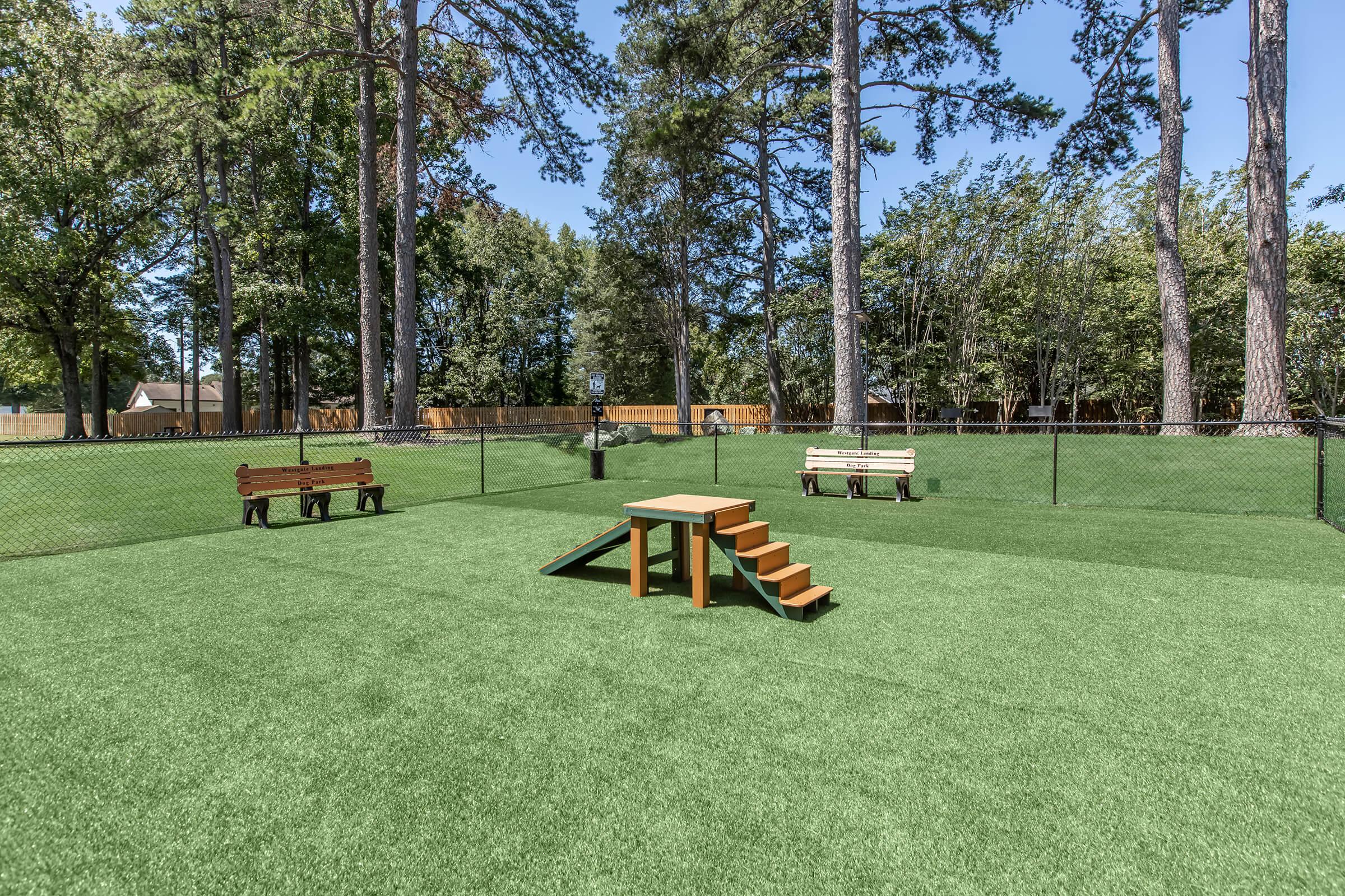 A fenced dog park featuring artificial grass, with two benches for seating. There is a multi-level climbing structure with steps designed for dogs, surrounded by tall trees and a clear blue sky, creating a spacious and inviting play area.