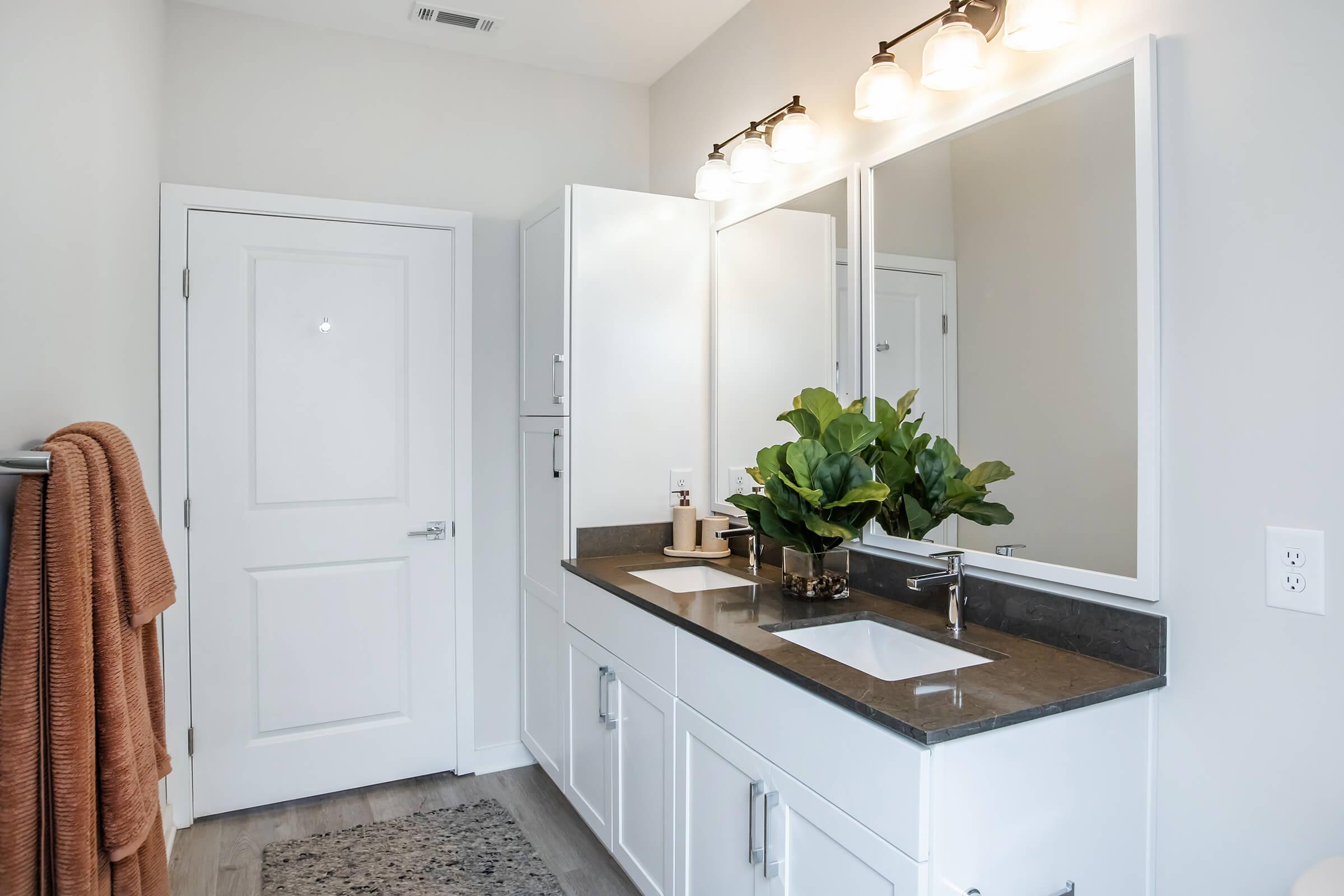 A modern bathroom featuring a double vanity with a dark countertop, two sinks, and a large mirror. There is a decorative plant on the counter, a towel hanging on the side, and light fixtures above the mirror. The walls are painted in a light color, creating a bright and airy atmosphere.