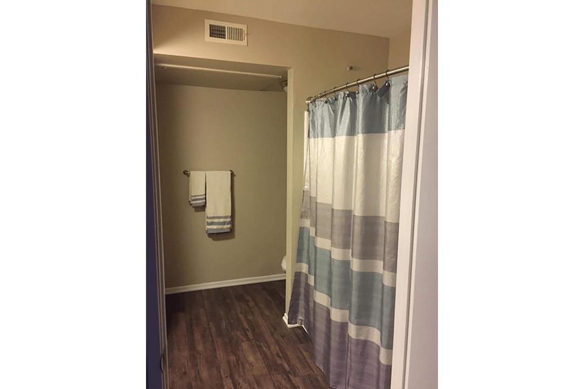 Bathroom with white and blue shower curtain