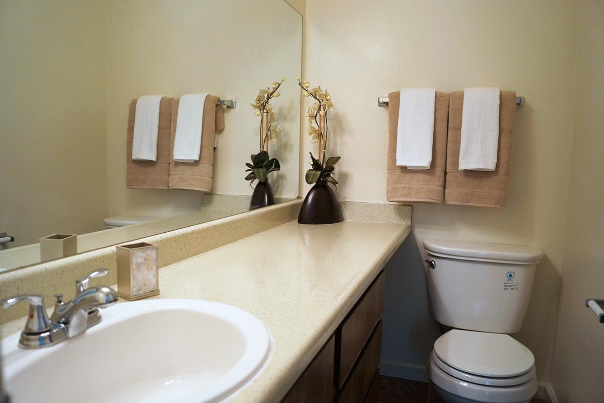 a white sink sitting under a mirror