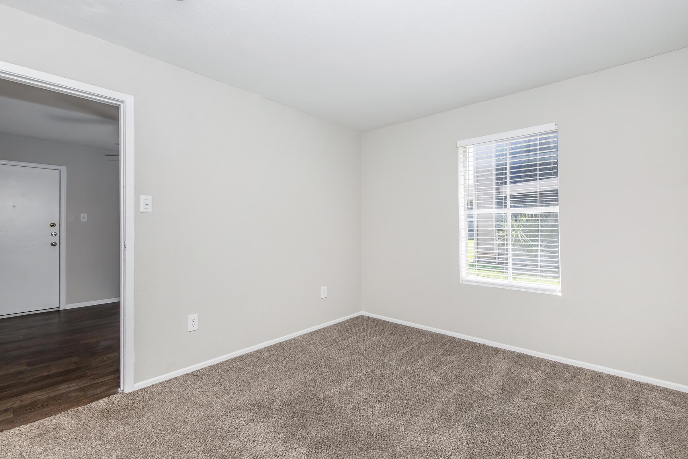 A well-lit, empty living room with beige carpet and light gray walls. A window with blinds lets in natural light, illuminating the space. There’s a white door leading to another room and no furniture, providing a clean, versatile area that can be used for various purposes.
