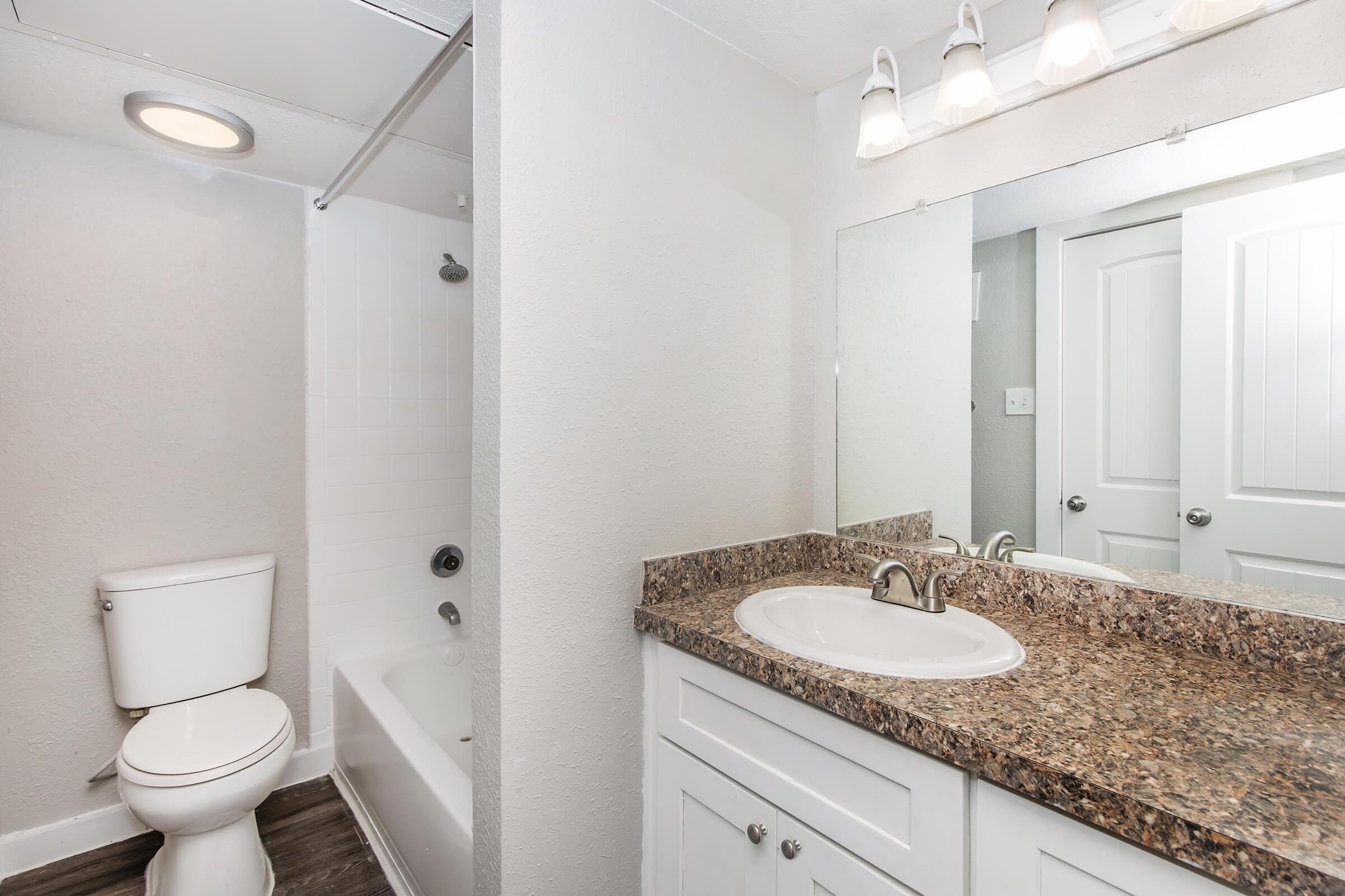 A modern bathroom featuring a toilet, a shower with a bathtub, a sink with a granite countertop, and a large mirror. The walls are painted light gray, and there are bright lights above the mirror. The space is clean and well-lit.