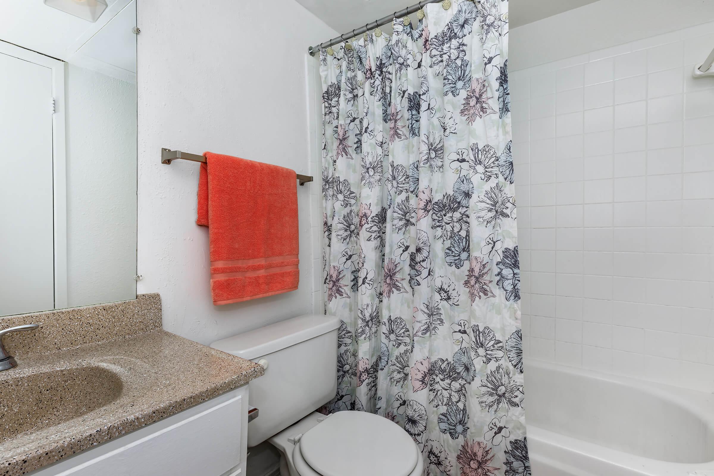 a shower that has a sink and a mirror