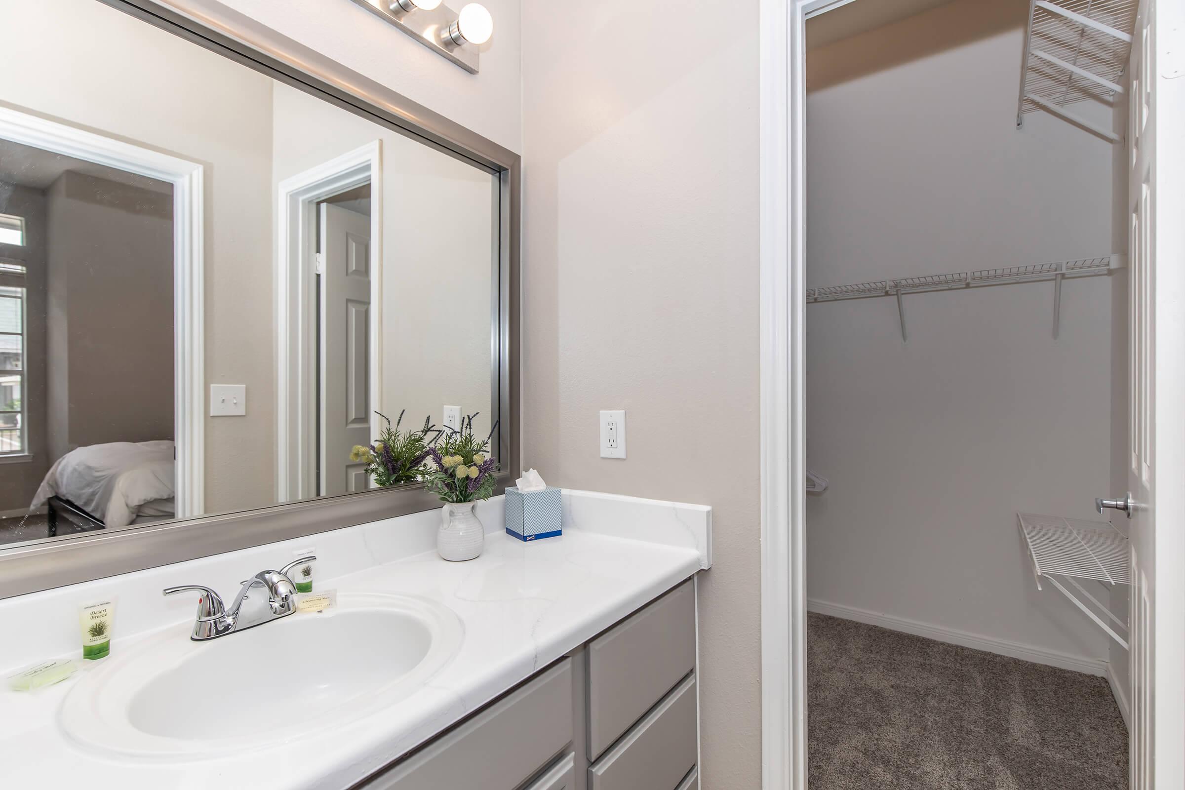 A well-lit bathroom featuring a white countertop with a sink, a large mirror above, and vanity storage below. There are decorative touches like a small plant and toiletries. A closet is visible on one side, showcasing shelves and an open space. The walls are painted in light neutral tones.
