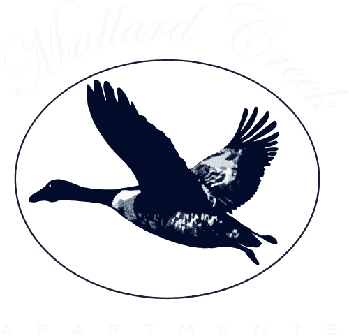 Mallard Creek ebrochure logo