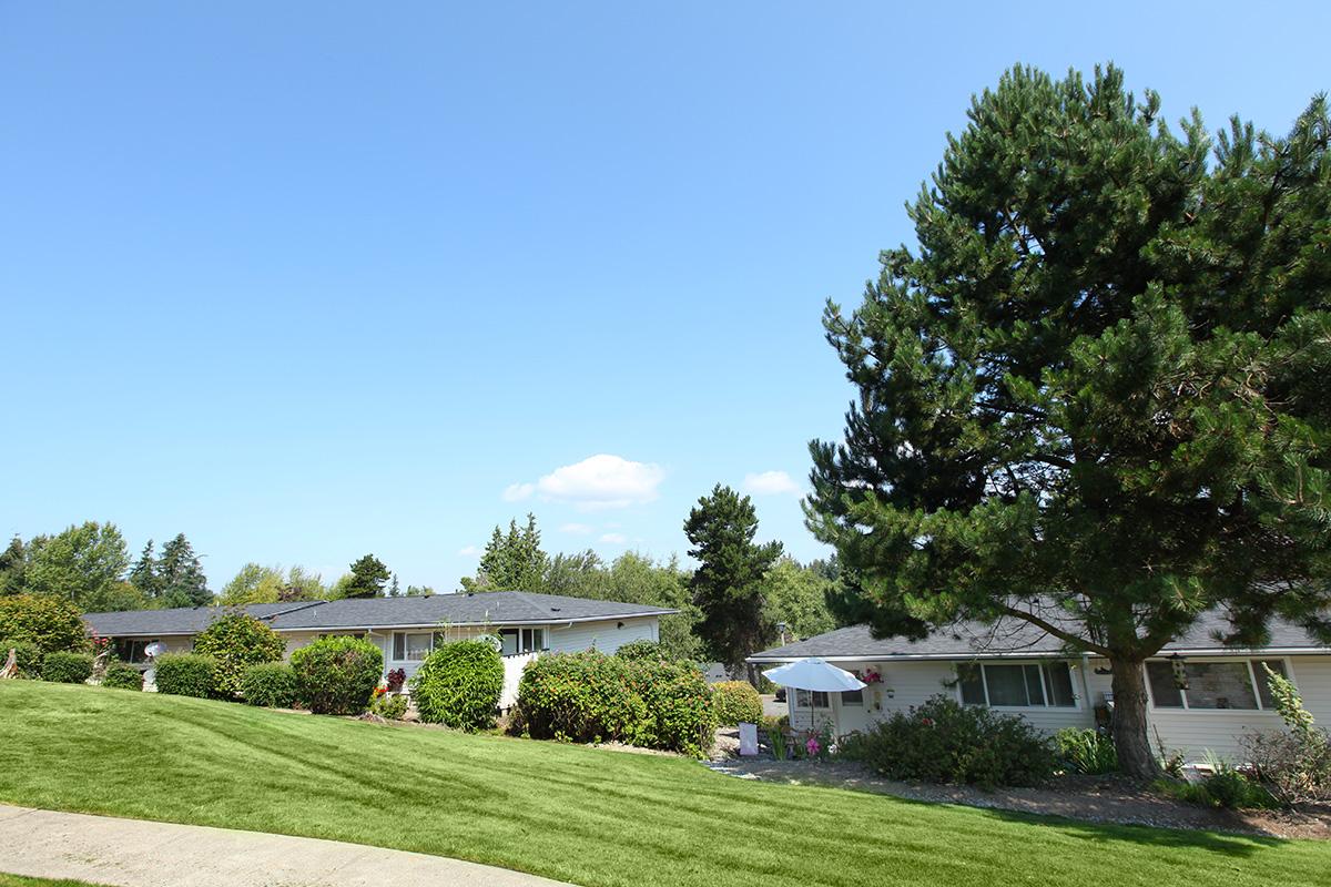 a large lawn in front of a house