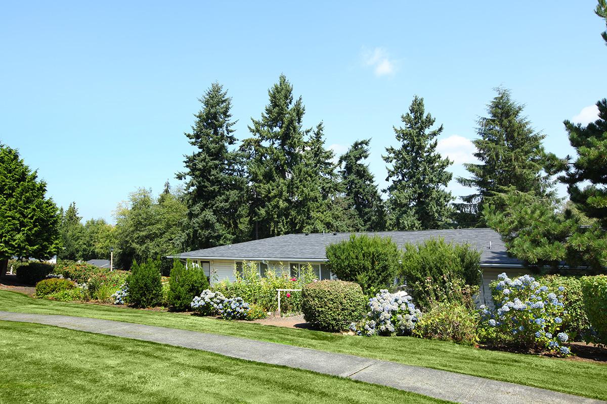 a tree in front of a house