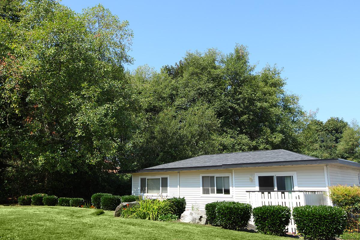 a large lawn in front of a house