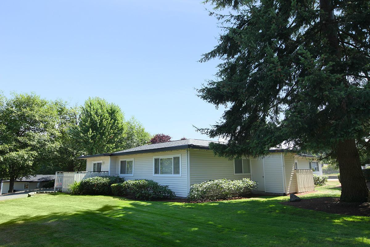 a large lawn in front of a house