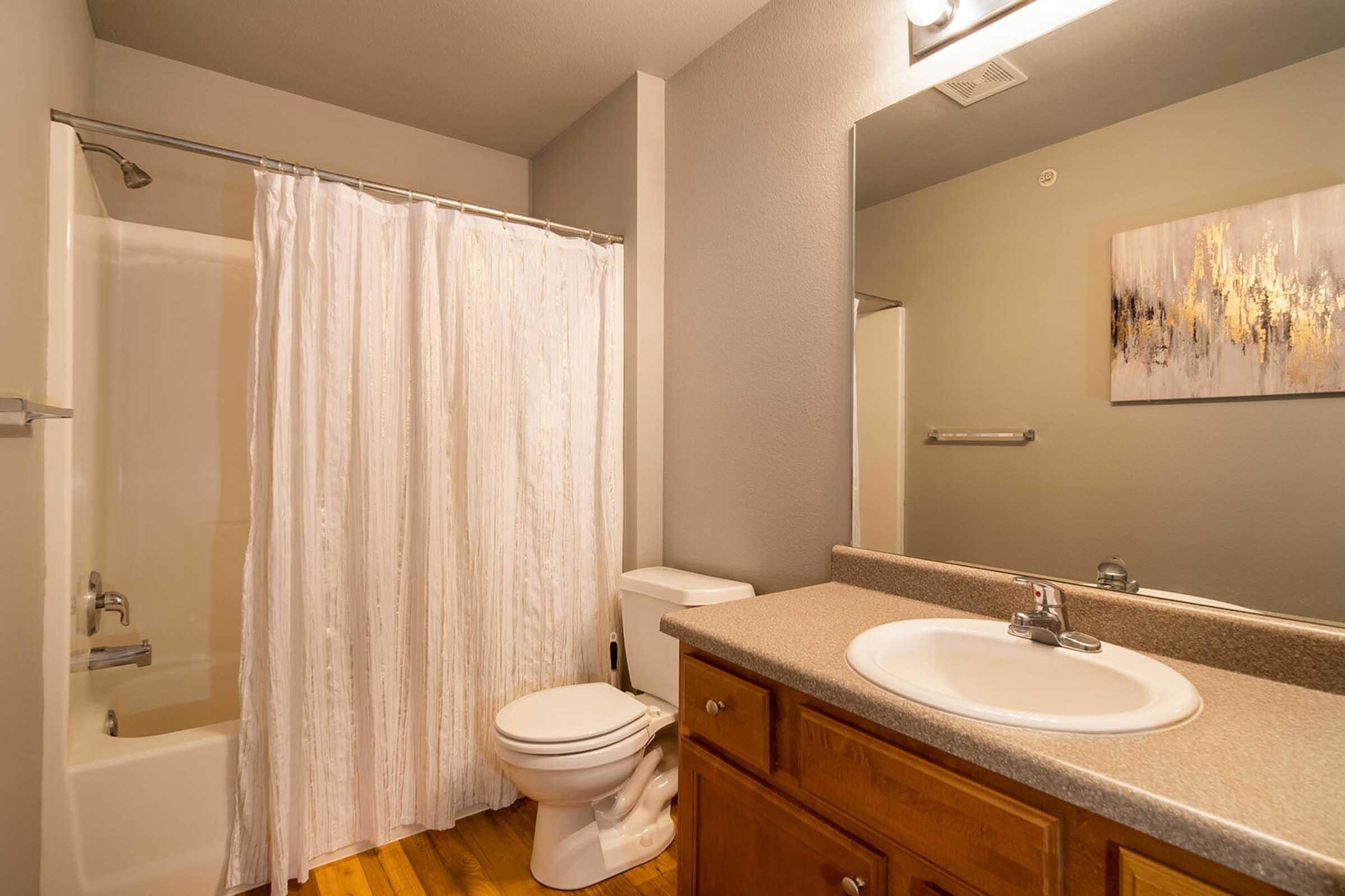 A clean bathroom featuring a shower with a white curtain, a toilet, and a sink with a countertop. The walls are painted grey, and there is a decorative piece of artwork on the wall above the sink. The floor is wooden, creating a warm, inviting atmosphere.