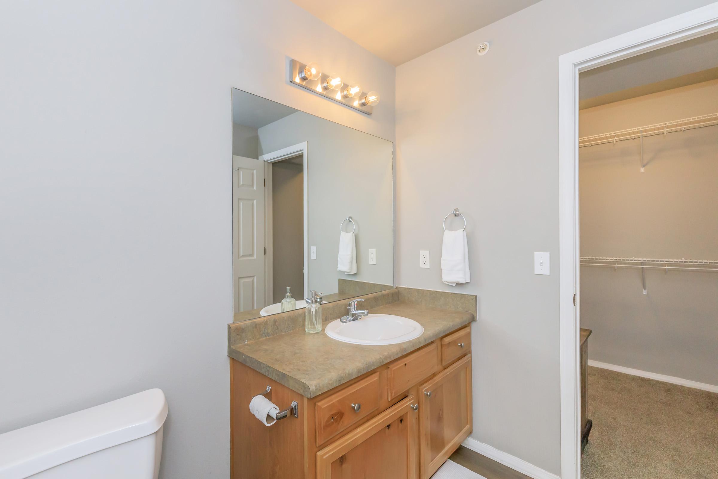 Modern bathroom with a light-colored walls, a single sink vanity with wooden base cabinets, a large mirror above the sink, and a towel rack. The space includes a toilet on the left and a closet or storage area visible through an open door. Bright lighting enhances the clean and spacious feel.