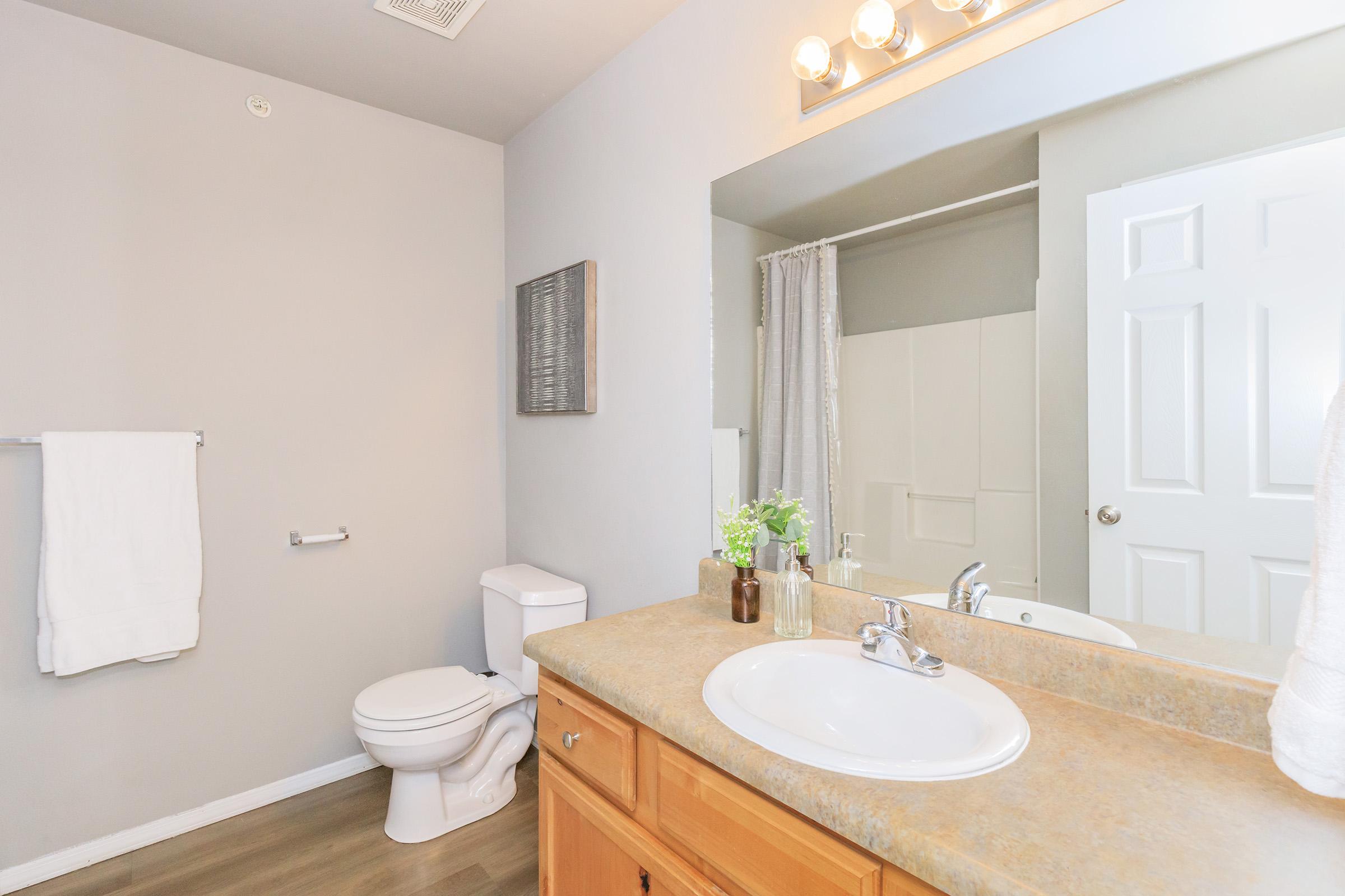 A clean and modern bathroom featuring a white toilet, a sink with a wooden vanity, a mirror with lights above, and a shower curtain in the background. There are a few decorative plants on the counter and a towel hanging on the wall, with neutral gray walls and wood-like flooring.