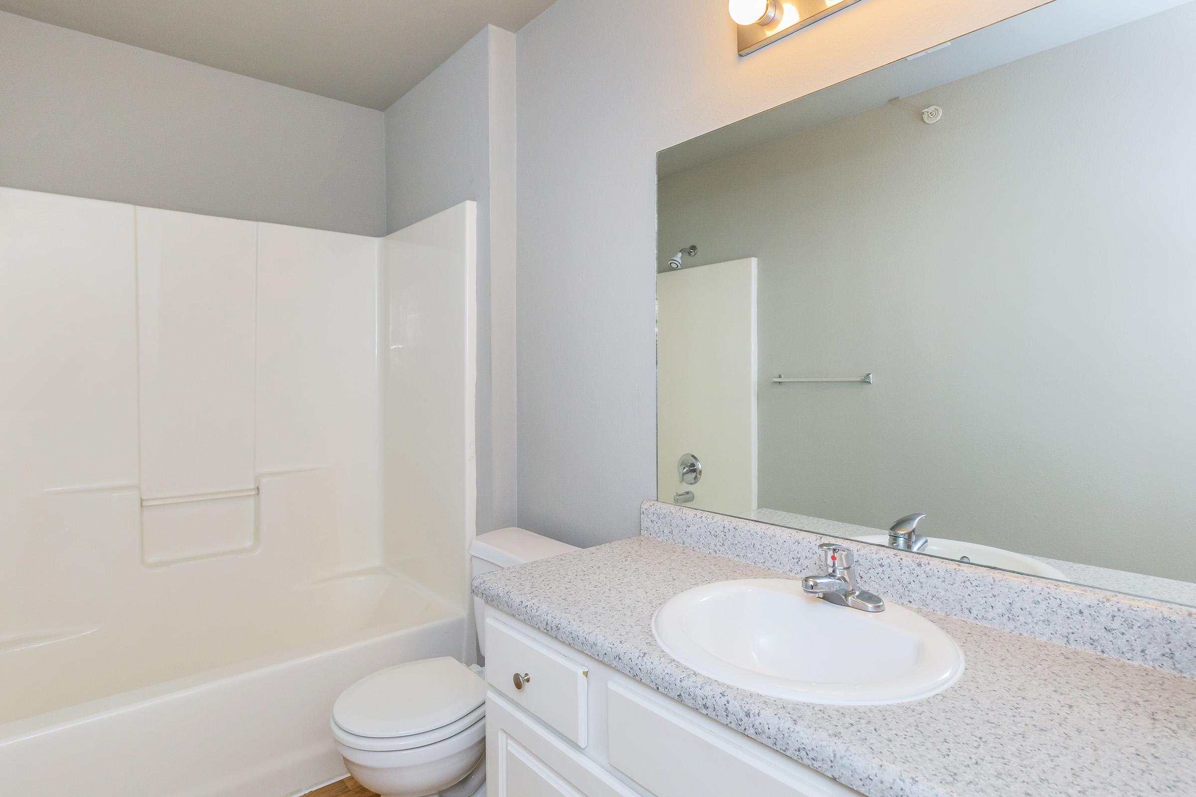 A modern bathroom featuring a shower-tub combo, a white toilet, and a countertop with a sink. The walls are painted in a light gray, and there is a large mirror above the sink. Natural light illuminates the space.