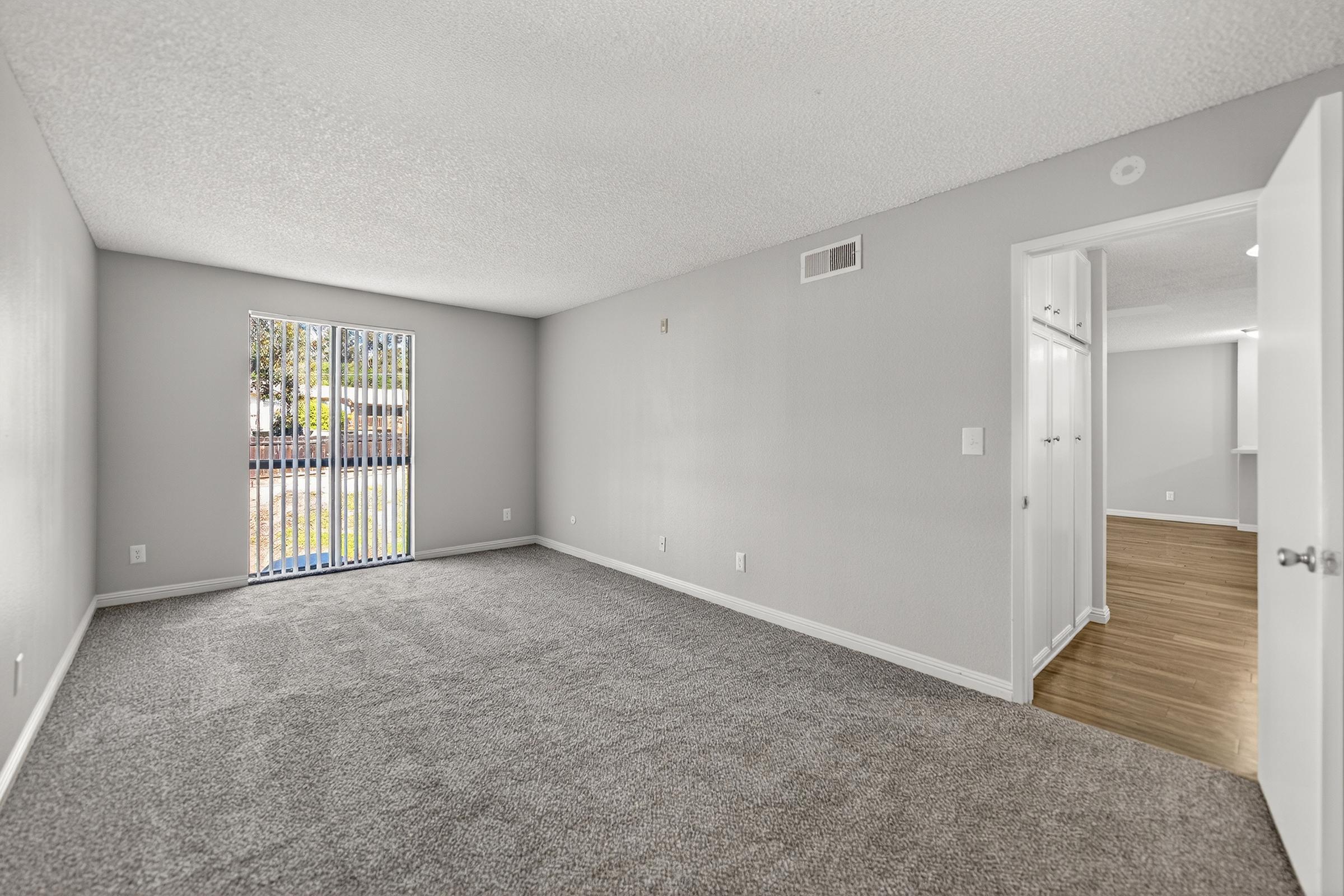 Spacious, empty room with gray carpet and light gray walls. A window with vertical blinds lets in natural light, and a doorway leads to a hallway. Closets are visible on the left, creating a bright, inviting atmosphere suitable for various arrangements or purposes.