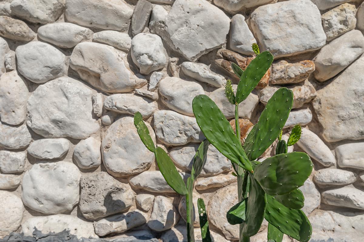 a close up of a rock wall