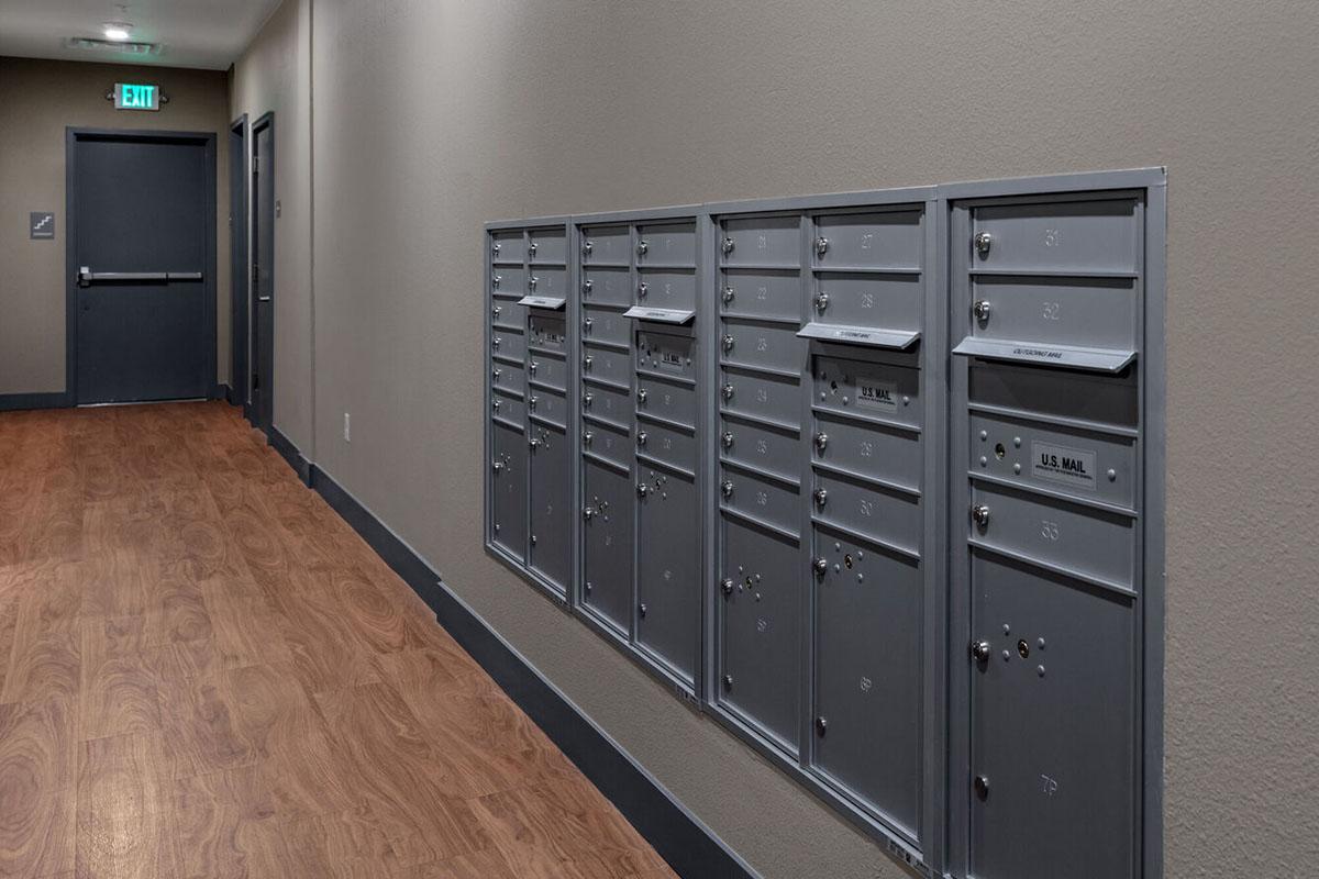 A row of gray mailboxes mounted on a wall in a hallway