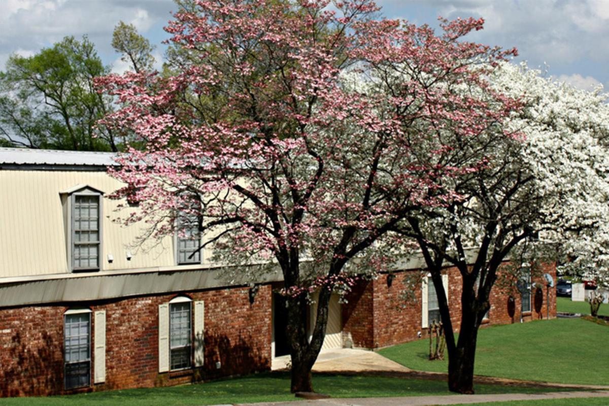 serenity-apartments-at-huntsville-huntsville-al-building-photo (1).jpg
