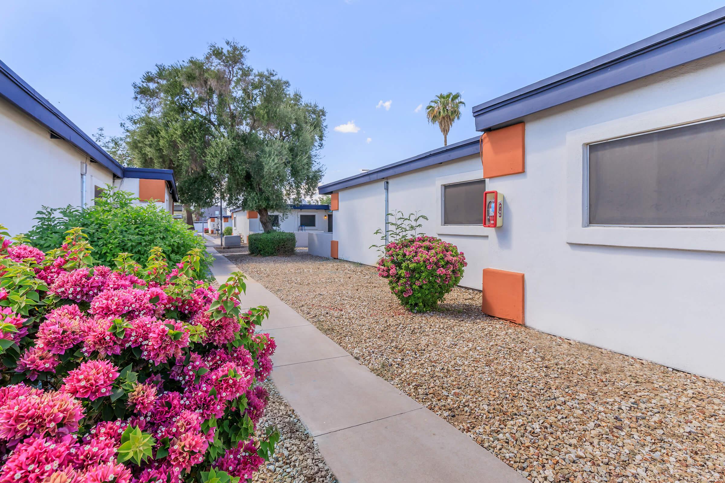 A landscaped pathway lined with vibrant pink flowers and shrubs leads between two modern buildings with orange and gray wall accents. The scene is set under a clear blue sky, with palm trees visible in the background. A payphone is mounted on one of the buildings.