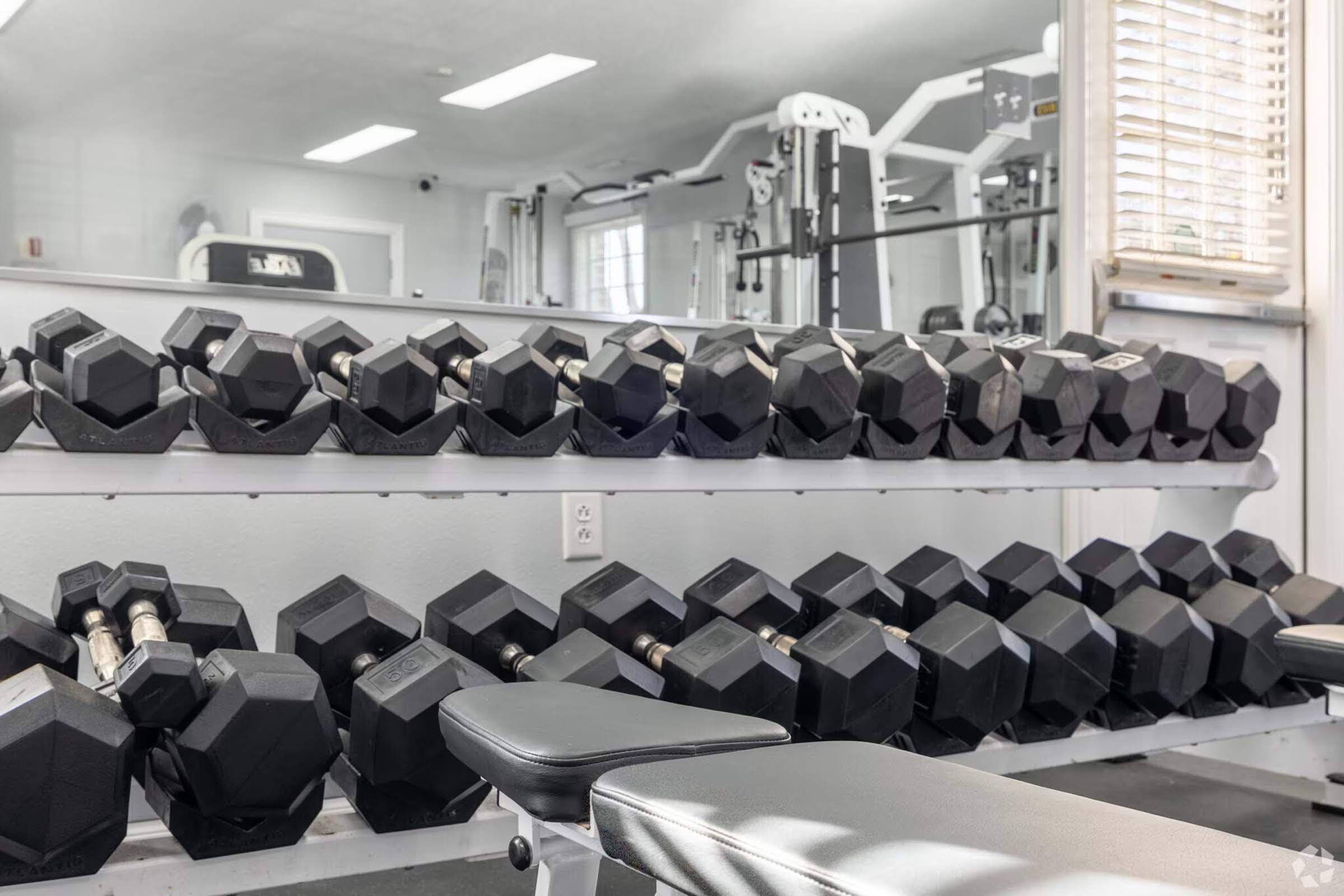 A rack of black hexagonal dumbbells arranged by weight, positioned in a well-lit gym. A bench is in the foreground, and gym equipment is visible in the background, along with a mirror reflecting the setup.