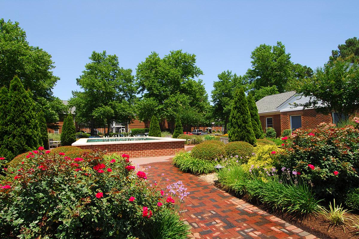 a close up of a flower garden in front of a house