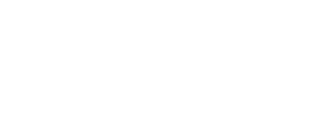 Stoneridge Pointe ebrochure logo