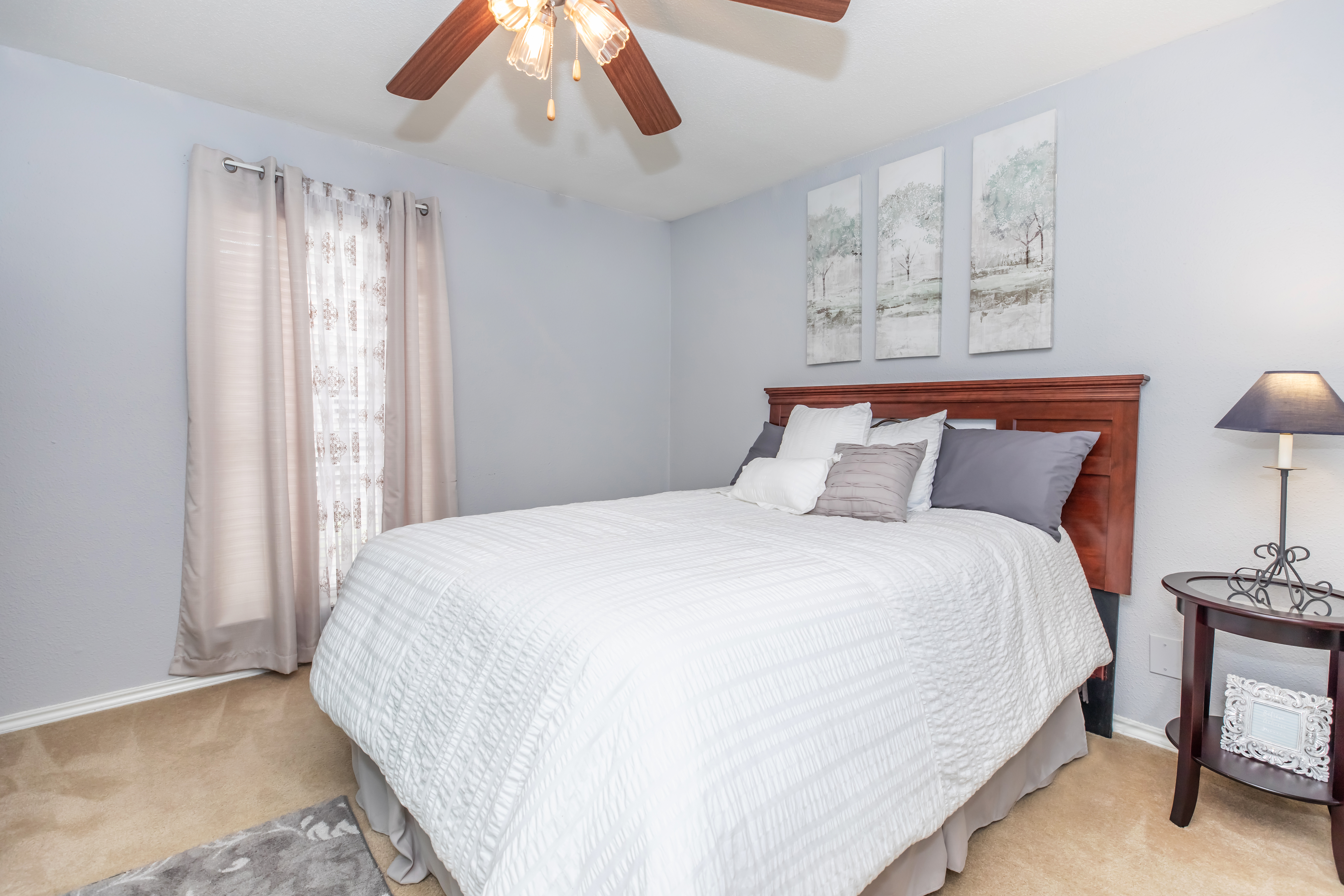 Apartment Features