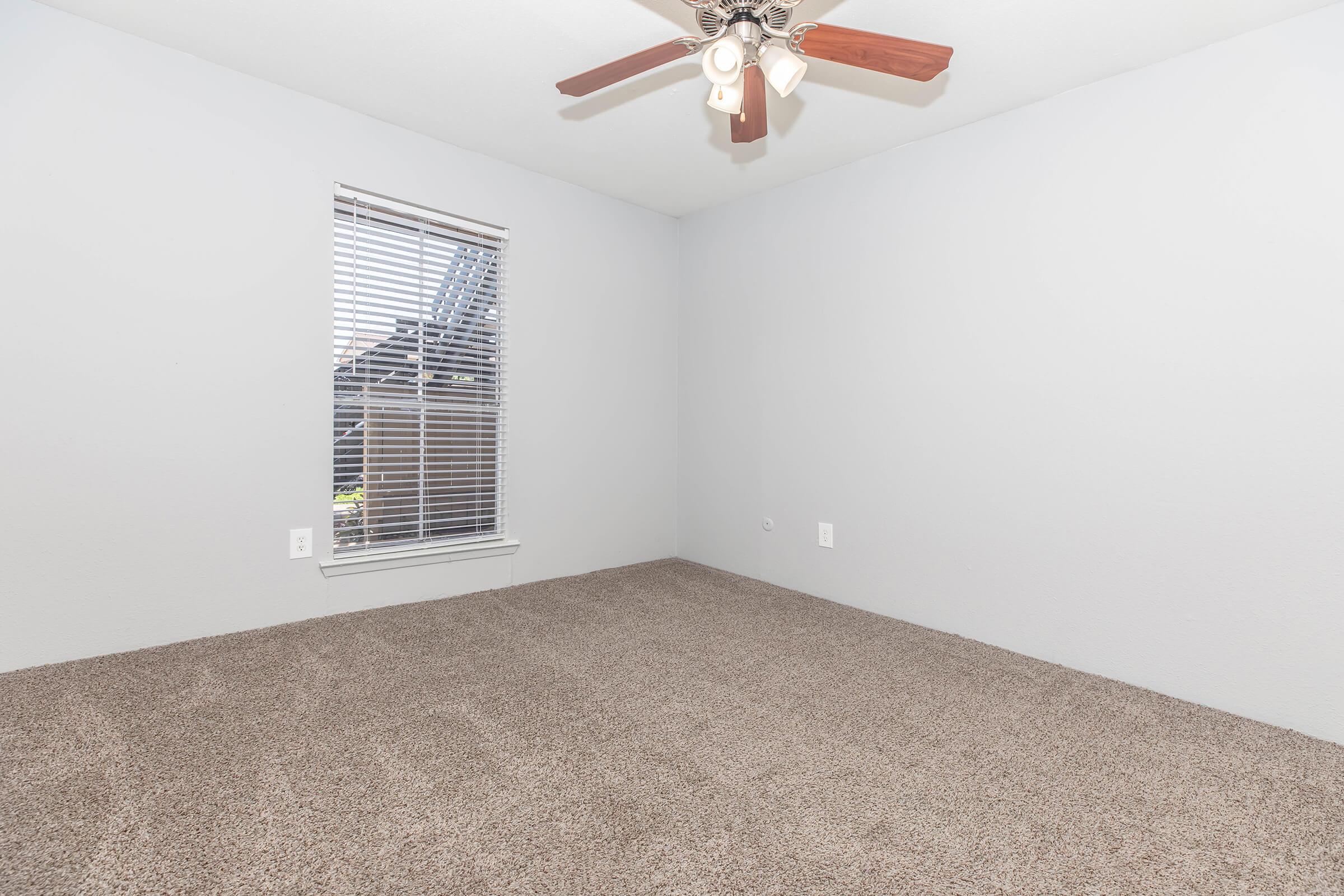 A well-lit, empty room featuring light gray walls and a ceiling fan. The floor is covered in plush beige carpet, and there is a window with blinds that allow natural light to enter. The room appears spacious and clean, suitable for various uses.