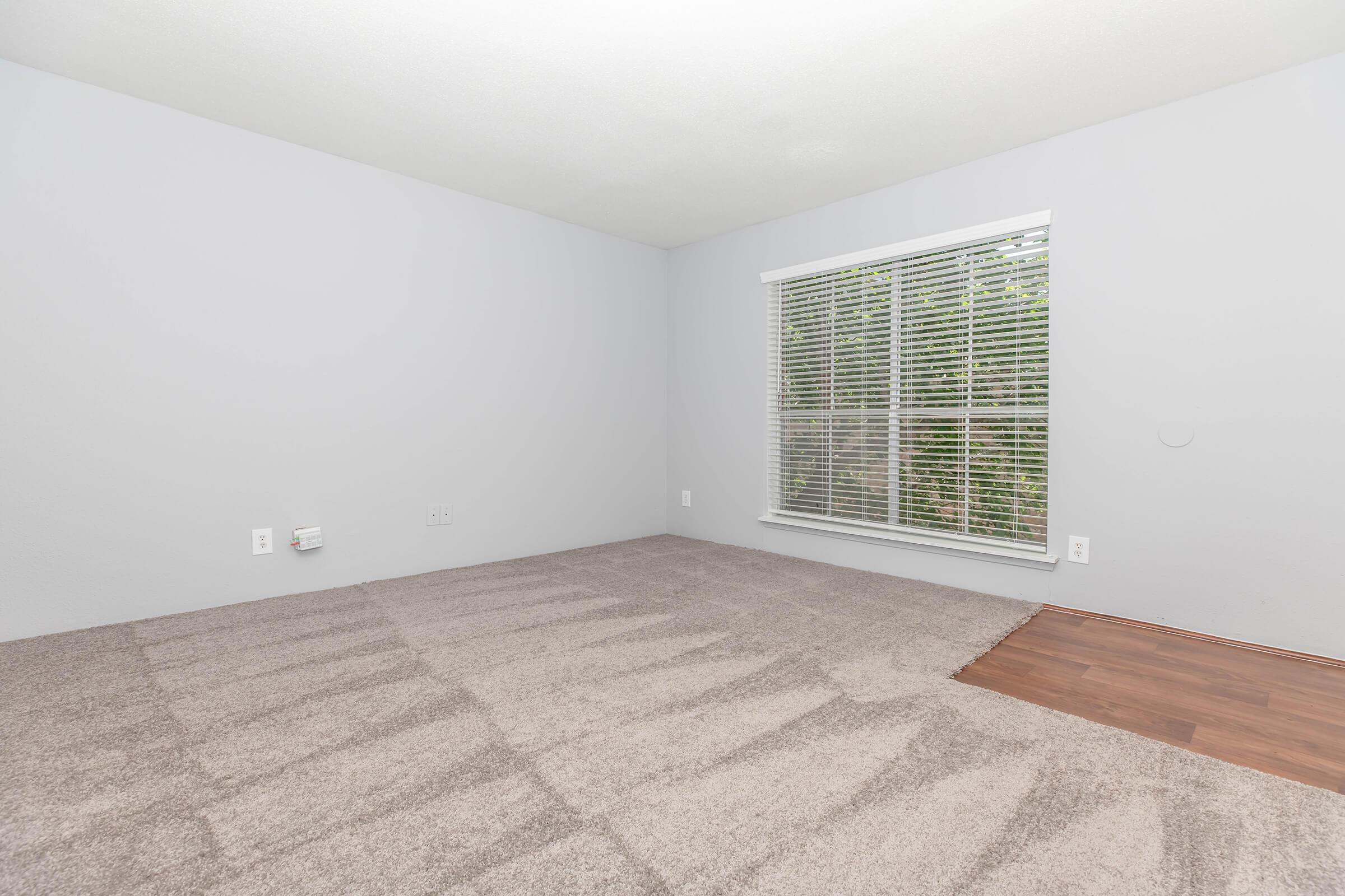 A spacious, empty room with light gray walls and a large window featuring blinds. The flooring is a mix of carpet and hardwood, with a noticeable area of carpet. Soft, natural light illuminates the space, creating a bright and airy atmosphere.
