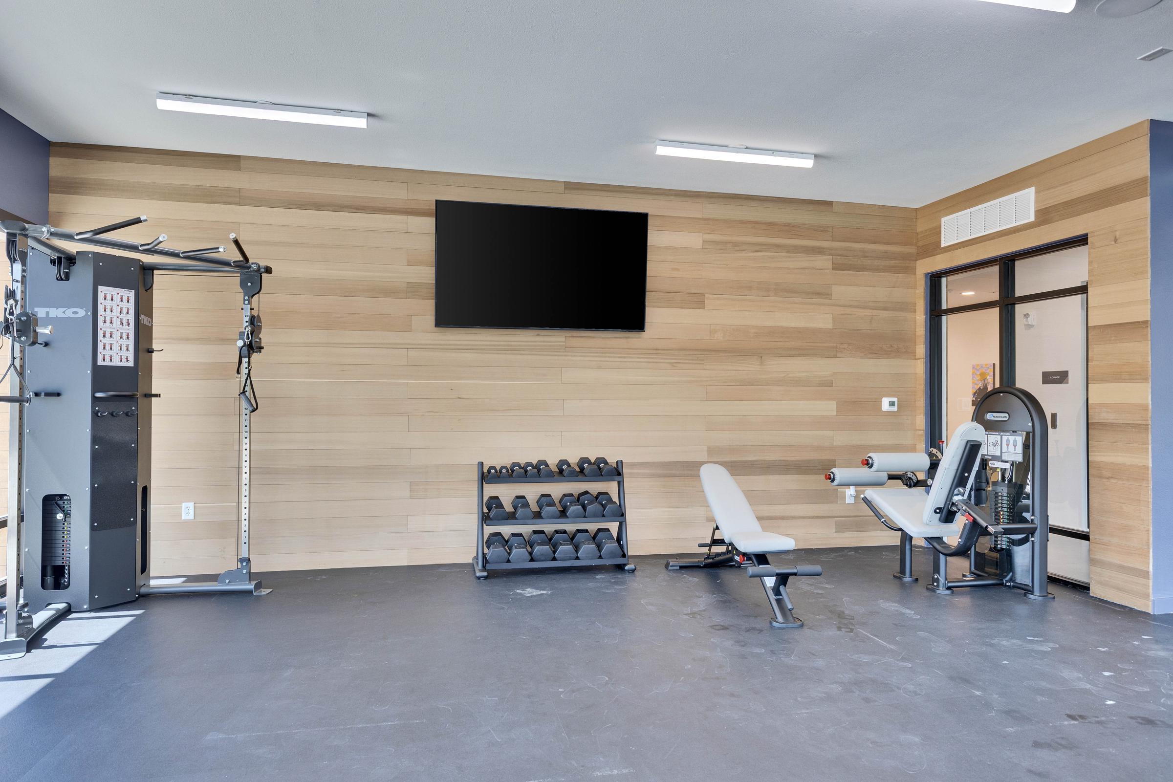 A modern gym interior featuring a strength training machine, a flat workout bench, a rack of dumbbells, and a television mounted on a wooden wall. The space is well-lit with natural light and has a clean, minimalist design, perfect for fitness activities.