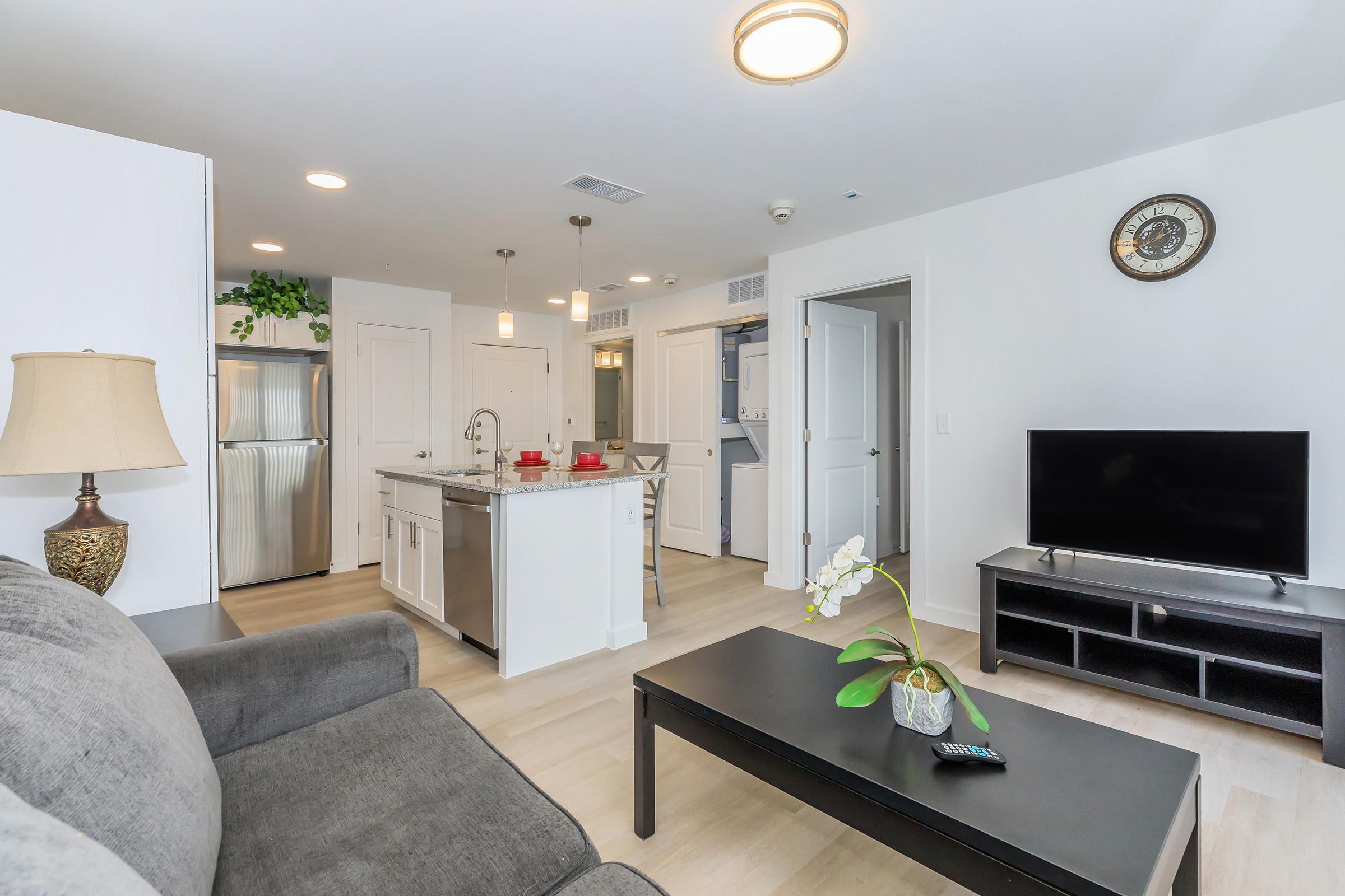 A modern, stylish living space featuring a gray sofa, a black coffee table, and a flat-screen TV. The kitchen island with bar stools is visible, along with stainless steel appliances. The open layout is bright and airy, with natural light coming from windows. Decorative plants add a touch of green.