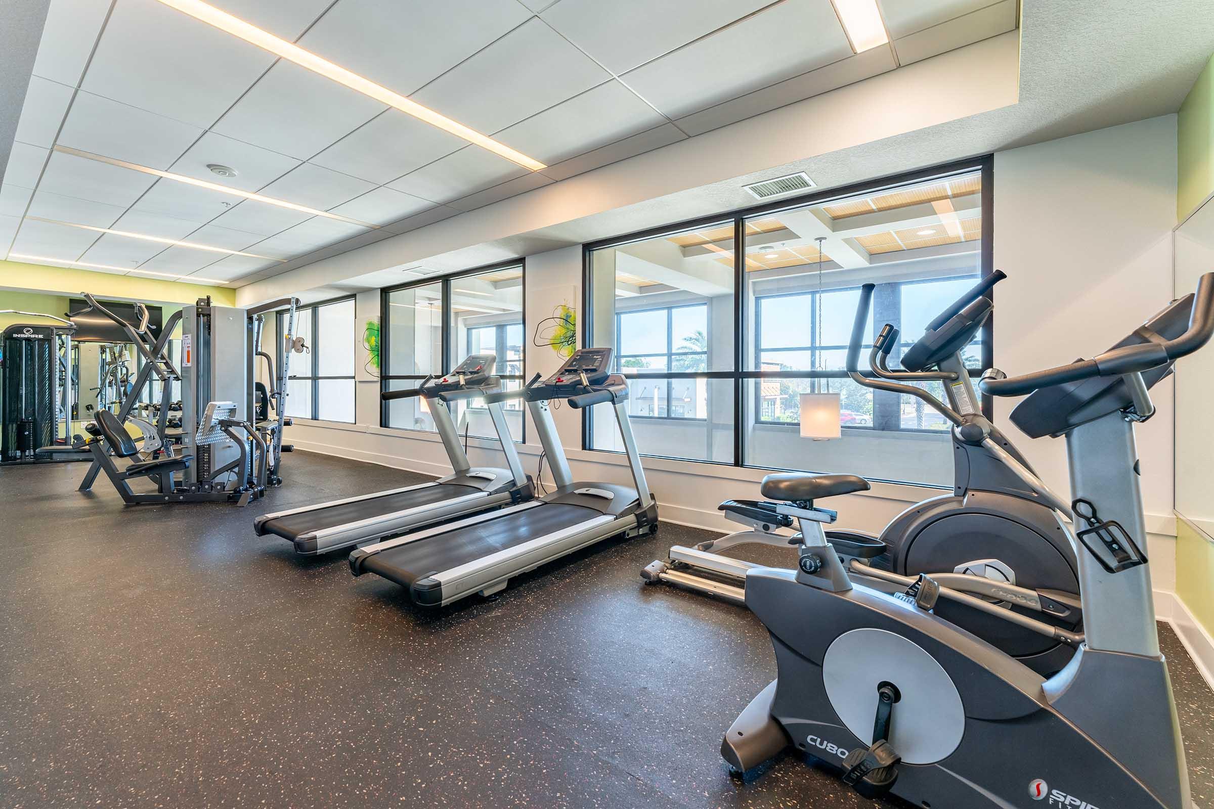 A modern gym interior featuring cardio equipment, including treadmills and a stationary bike, surrounded by large windows that provide natural light. The floor is black rubber, and there are green decorative plants adding a touch of freshness to the space.