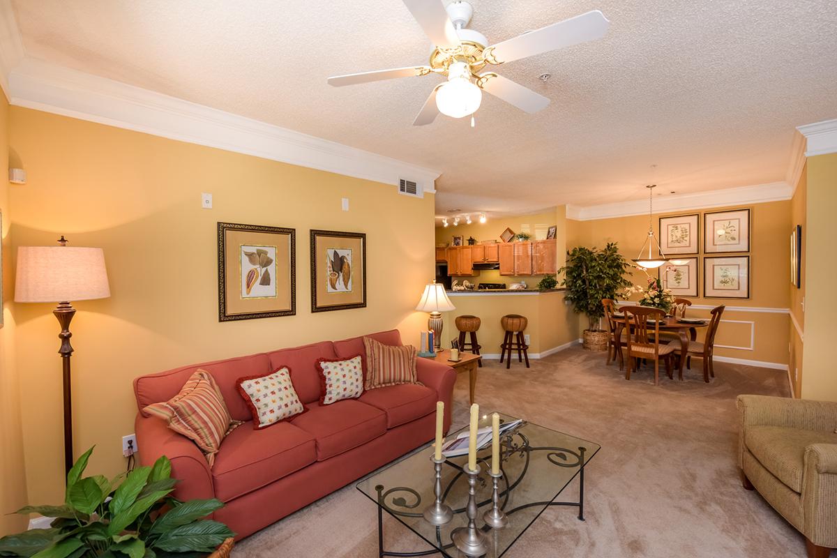 Walden Crossing Apartments in Canton, GA - Interior 01_.jpg