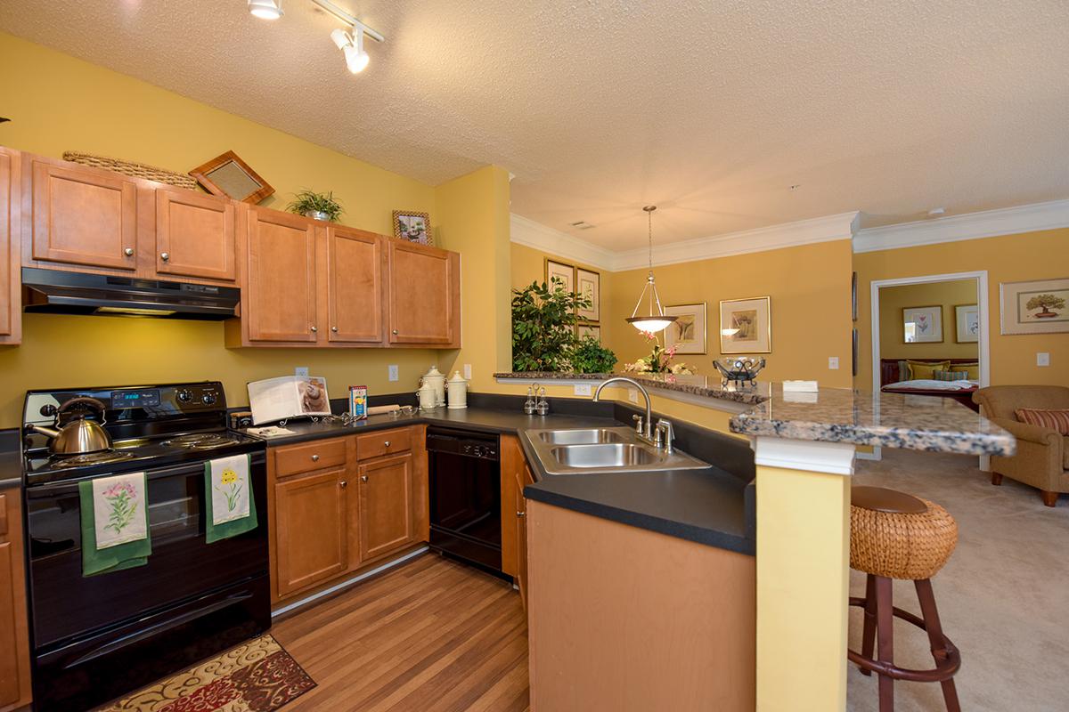 Walden Crossing Apartments in Canton, GA - Interior 04_.jpg