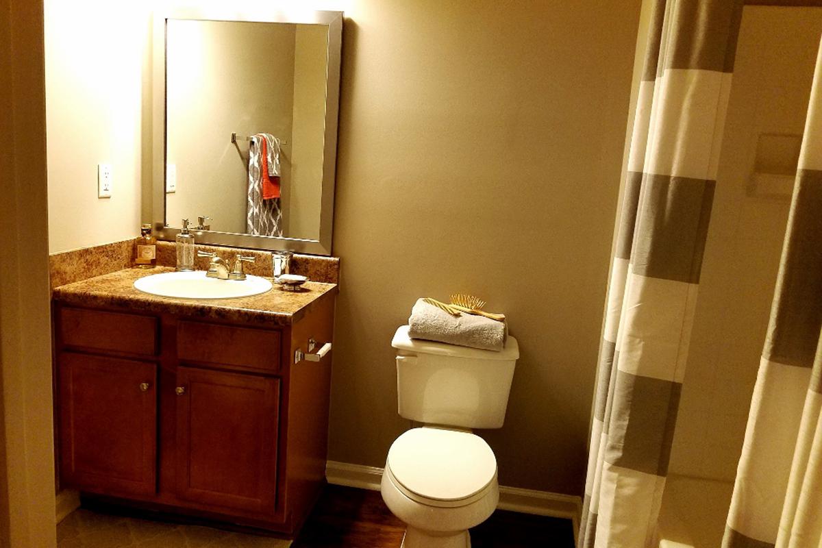 Walden Crossing Apartments in Canton, GA - Interior 07__.jpg