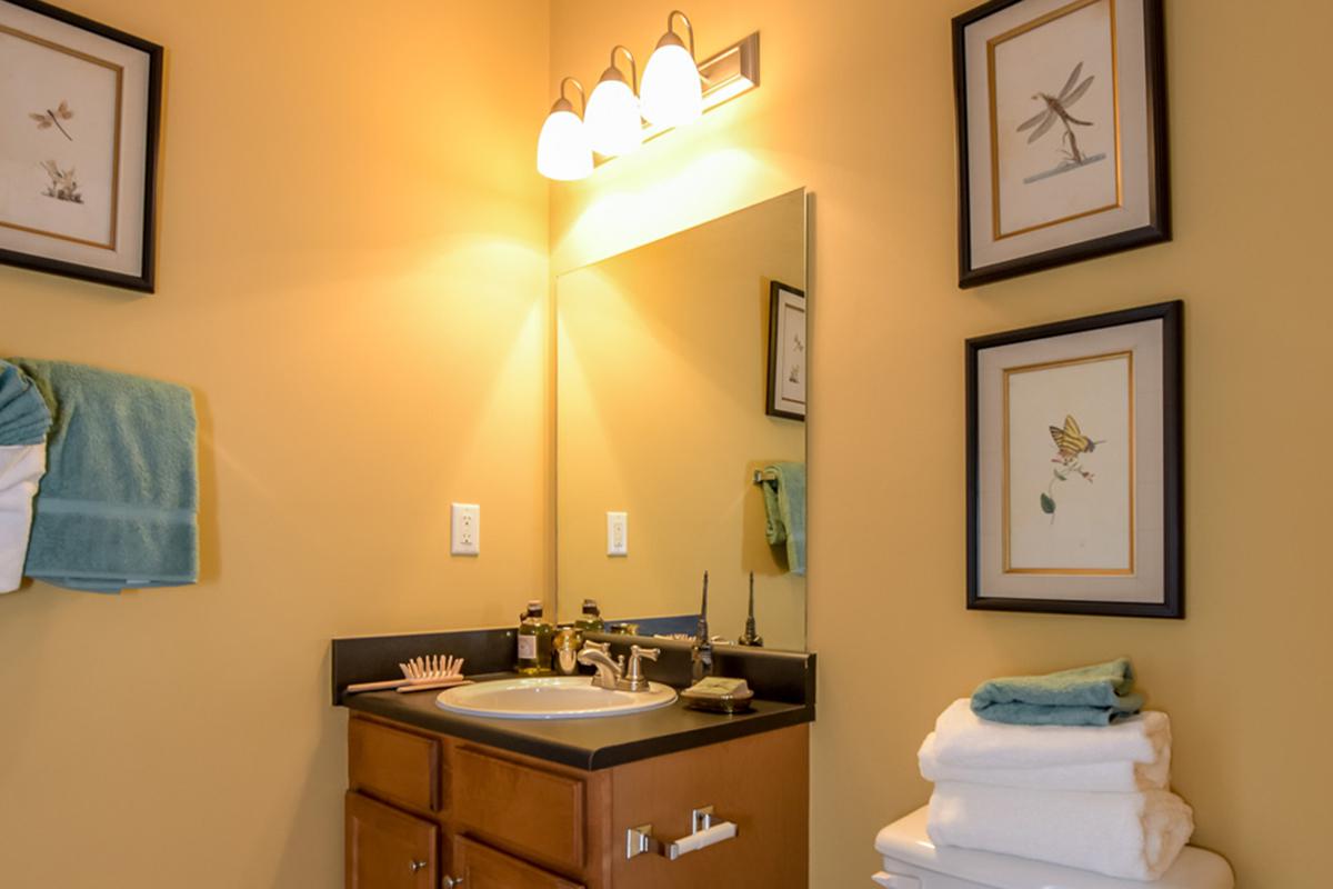 Walden Crossing Apartments in Canton, GA - Interior 10_.jpg
