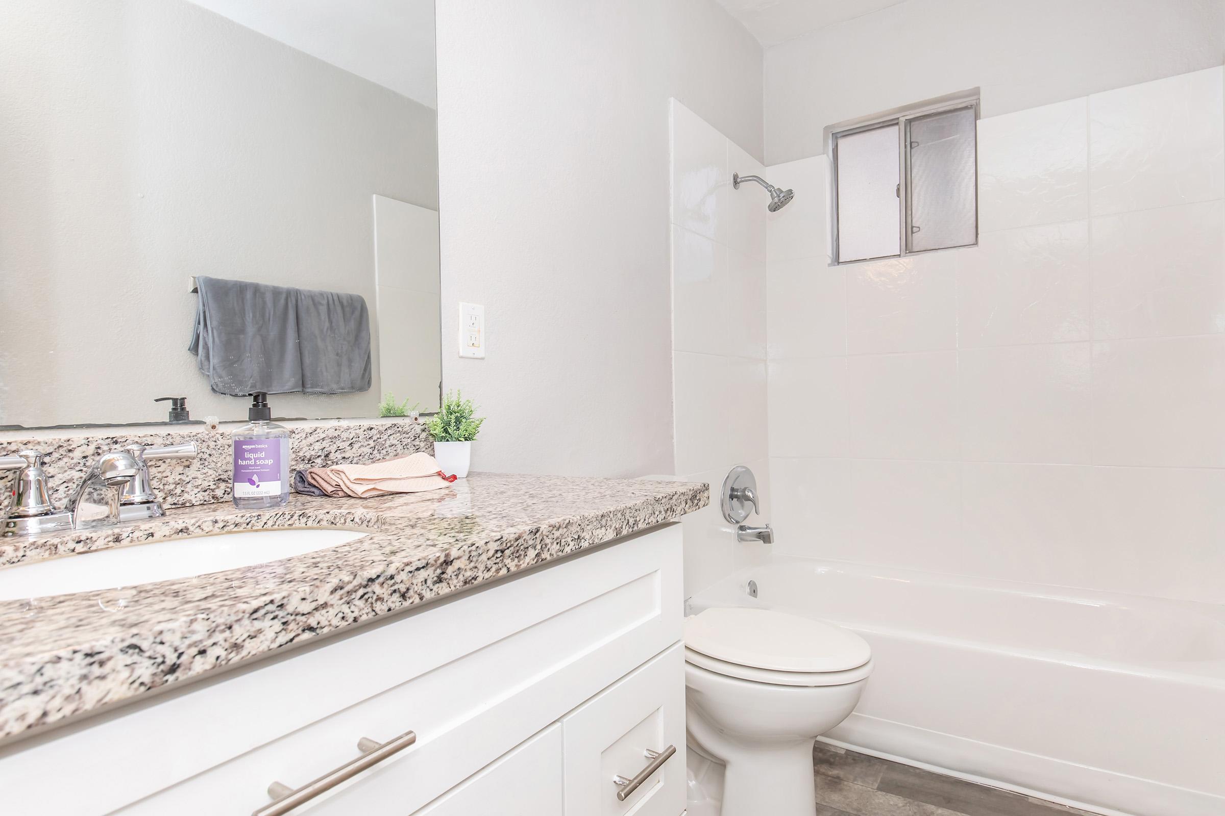 A clean, modern bathroom featuring a light gray wall, a white ceramic toilet, and a bathtub with a silver showerhead. The countertop has a granite finish with a soap dispenser, hand towels, and a small potted plant. A window allows natural light into the space, enhancing the bright aesthetic.
