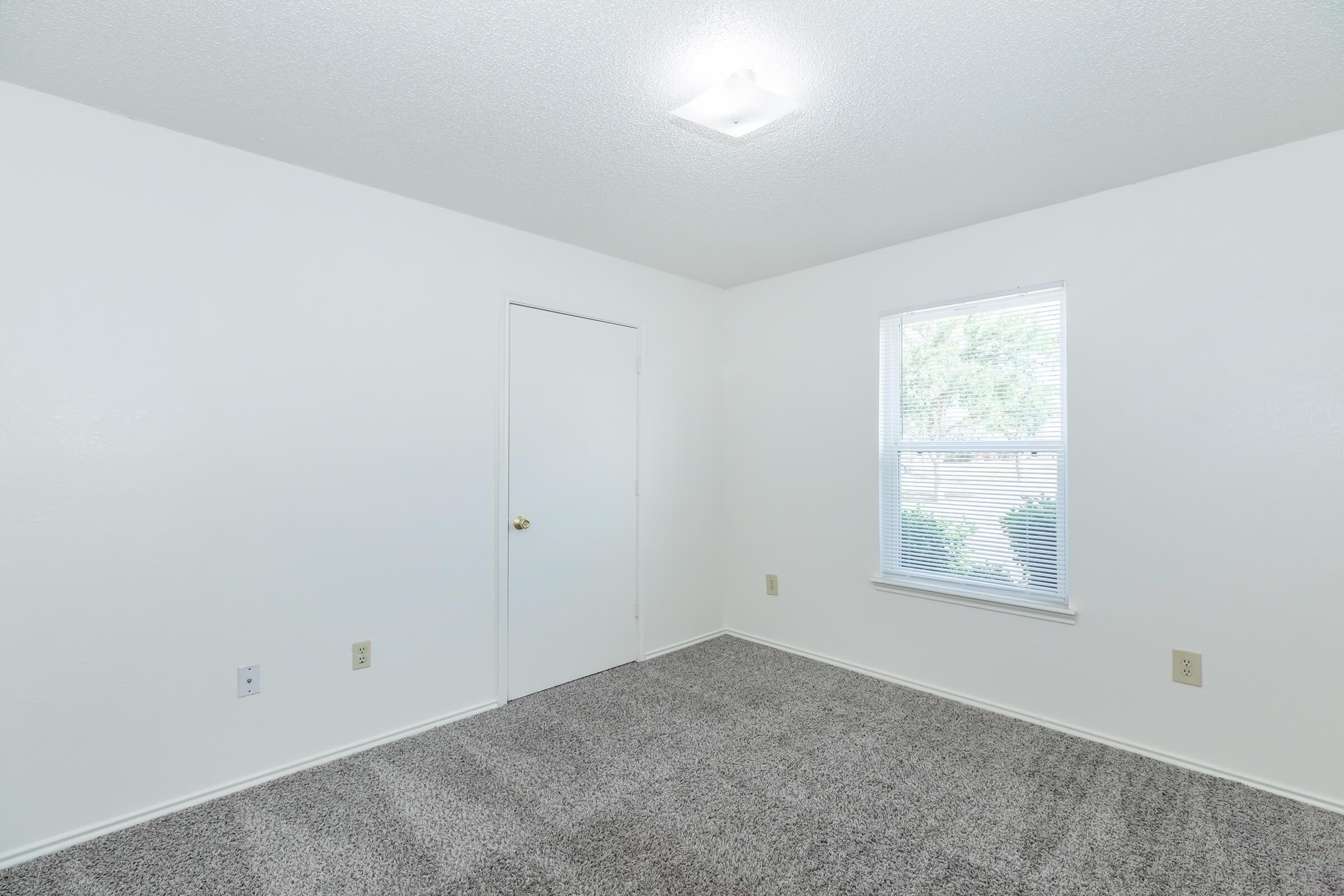 A vacant room with light-colored walls and gray carpeting. There is a closed door on one side and a window with blinds allowing natural light to enter. The room appears bright and tidy, suitable for various uses such as a bedroom or office space.