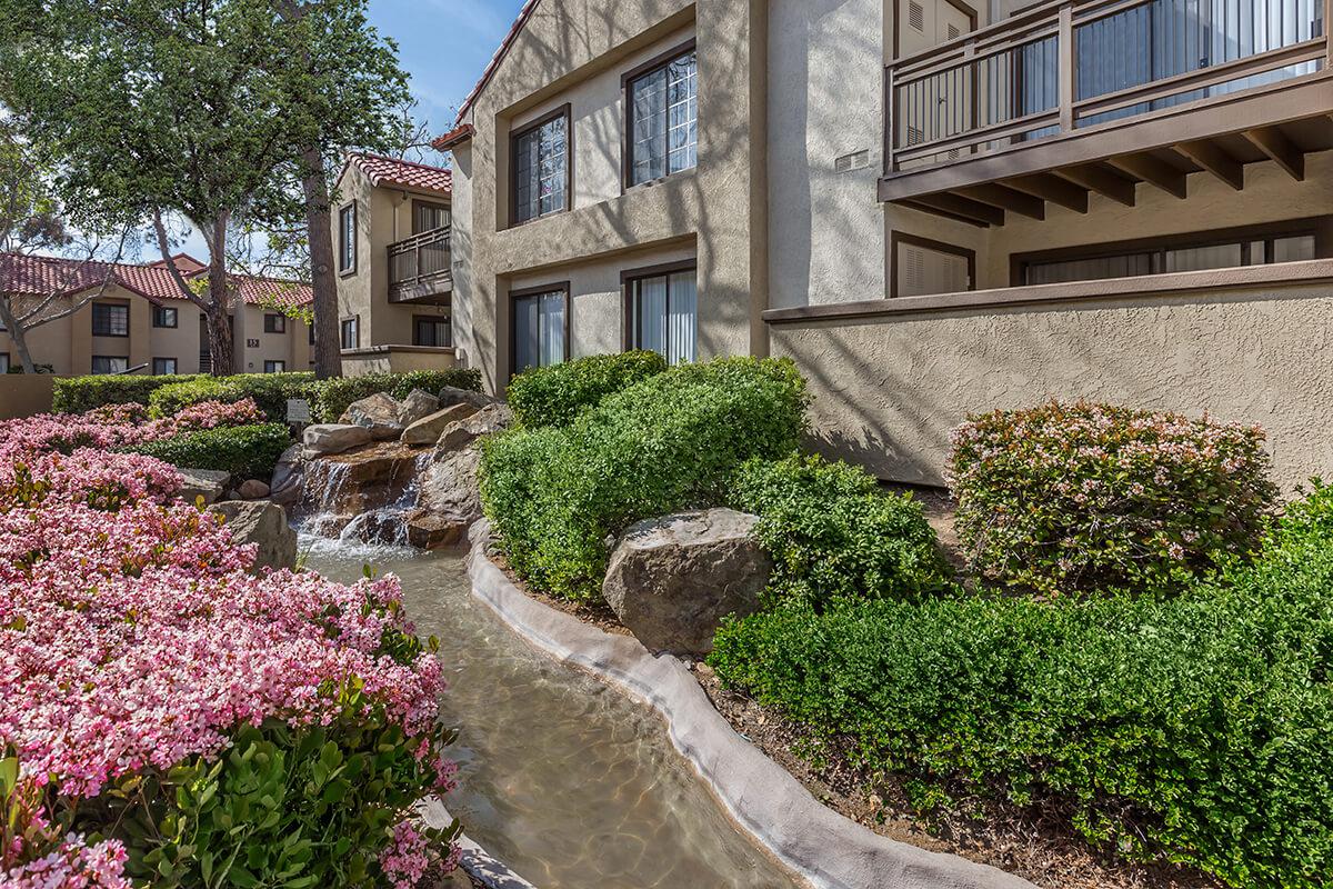 Green shrubs and pink flowers with water running between