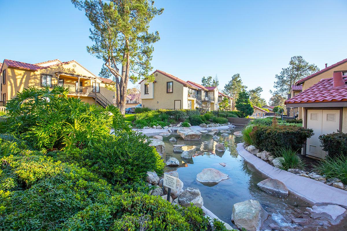 Water feature with green bushes