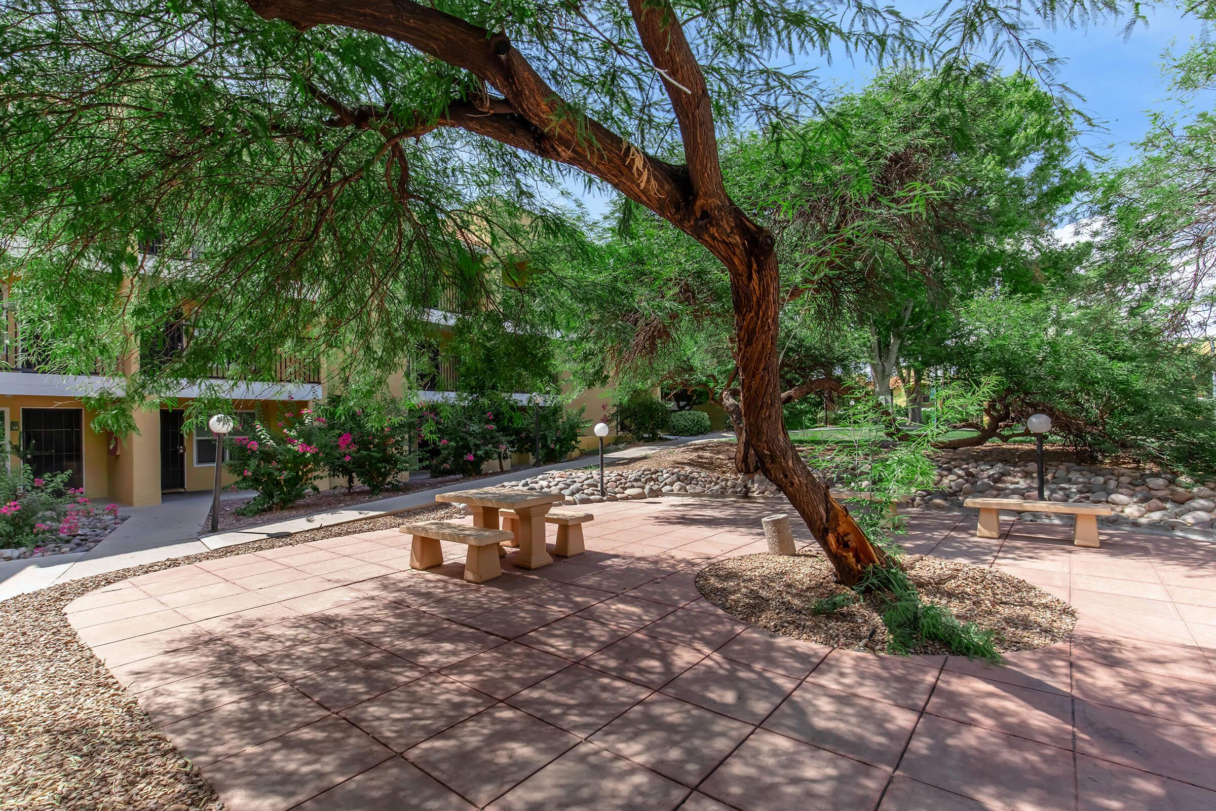 A tranquil outdoor area featuring a large tree, benches, and landscaped plants, surrounded by buildings. The space is filled with natural light, showcasing stone pathways and decorative elements like rocks and lanterns, creating a serene environment for relaxation.