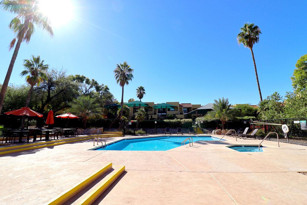 A sunny outdoor pool area surrounded by palm trees, with several lounge chairs and umbrellas. The pool is clear blue and features steps leading in. In the background, there are green buildings and lush vegetation, creating a relaxing atmosphere.