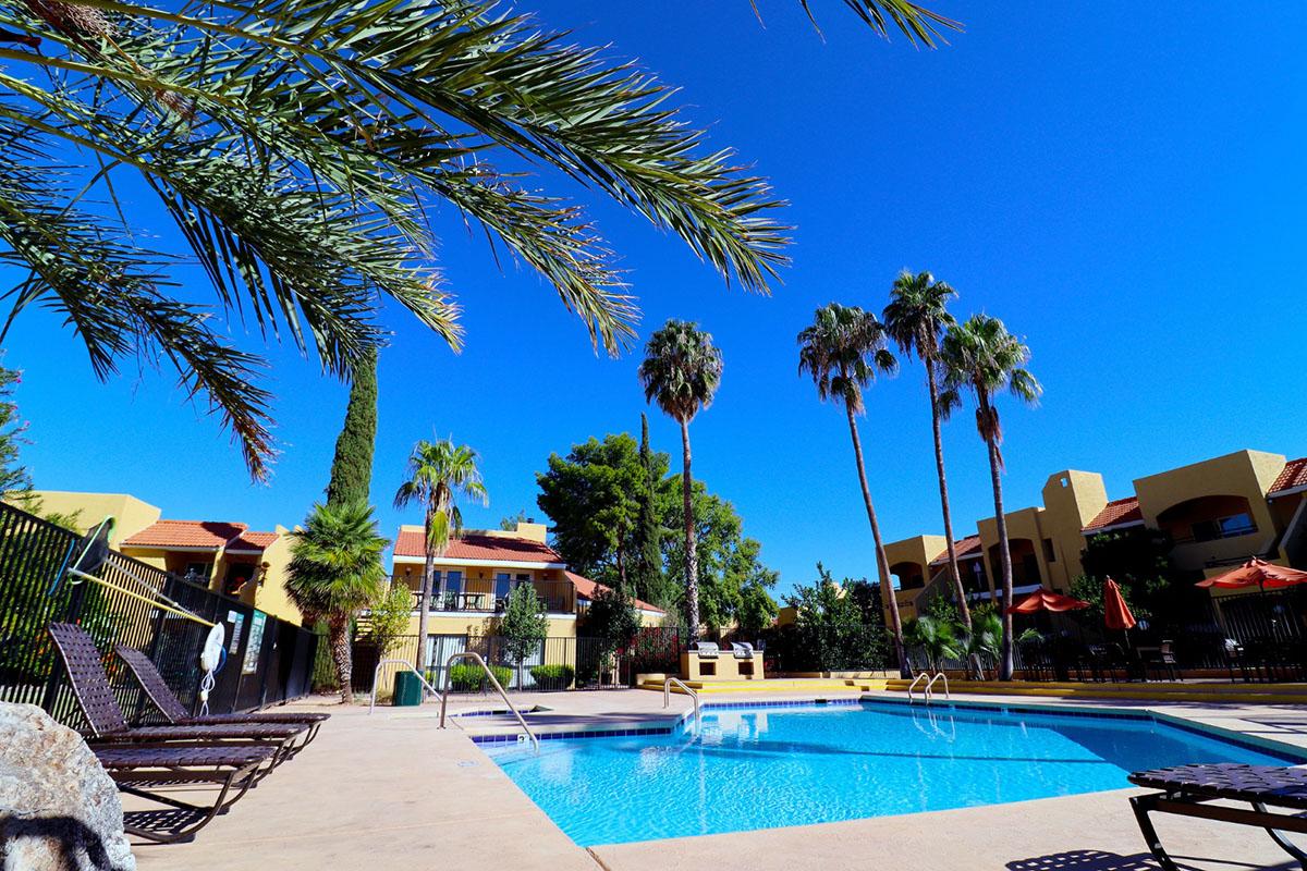 A sunny pool area surrounded by palm trees and lounge chairs. The water is clear and inviting, reflecting the blue sky. In the background, there are buildings with red roofs and green landscaping, creating a relaxing vacation atmosphere.