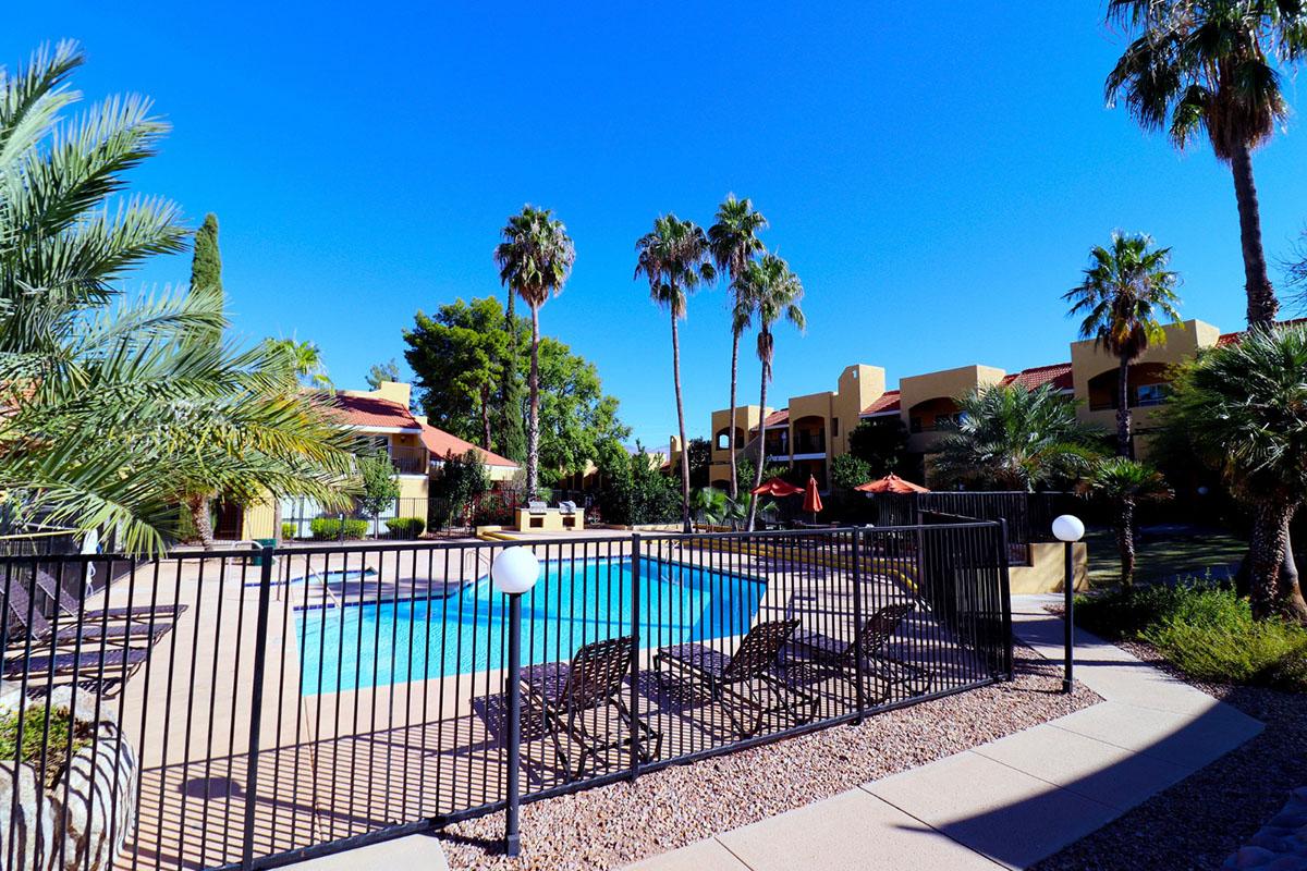 A bright, sunny pool area surrounded by palm trees and landscaped greenery. The pool is enclosed by a black fence and features several lounge chairs. In the background, there are residential buildings with a clear blue sky above.