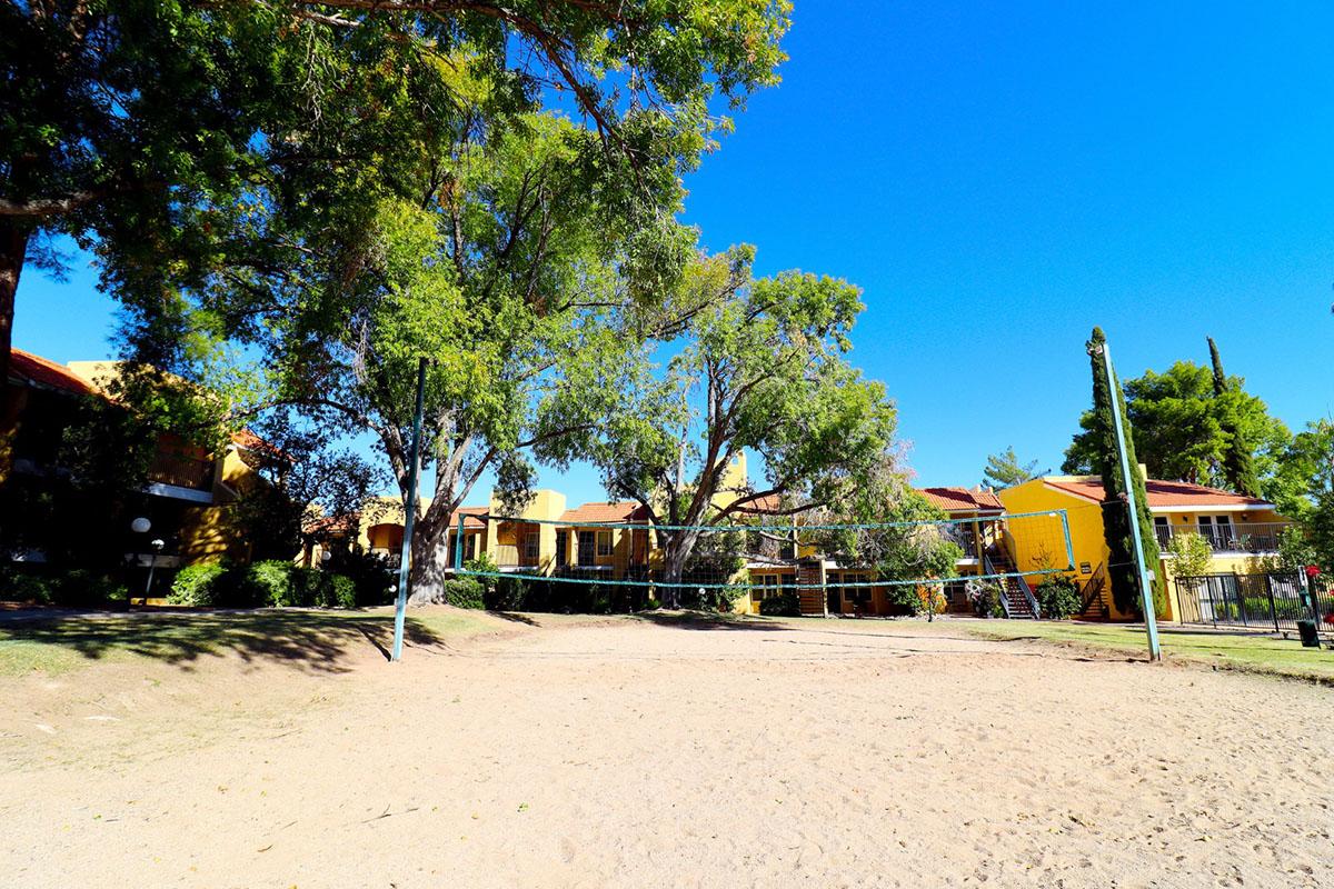 A sandy volleyball court surrounded by tall trees, with colorful buildings in the background under a clear blue sky. The scene conveys a serene outdoor environment, ideal for recreational activities.