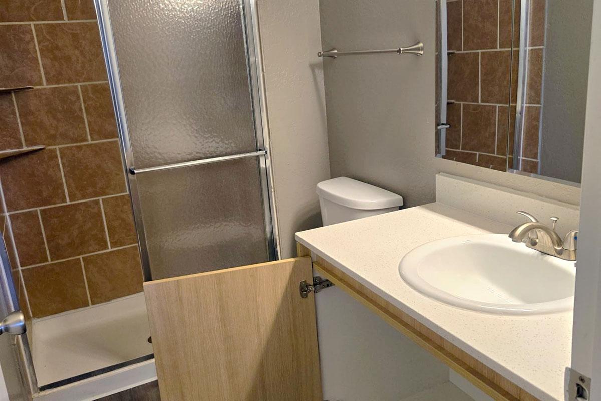 A small bathroom featuring a shower with a glass door, a toilet, and a sink with a countertop. The walls are painted light gray, and there's a dark tiled accent wall in the shower area. A wooden cabinet door is partially open beneath the sink. Mirrors are mounted above the sink and on the wall.