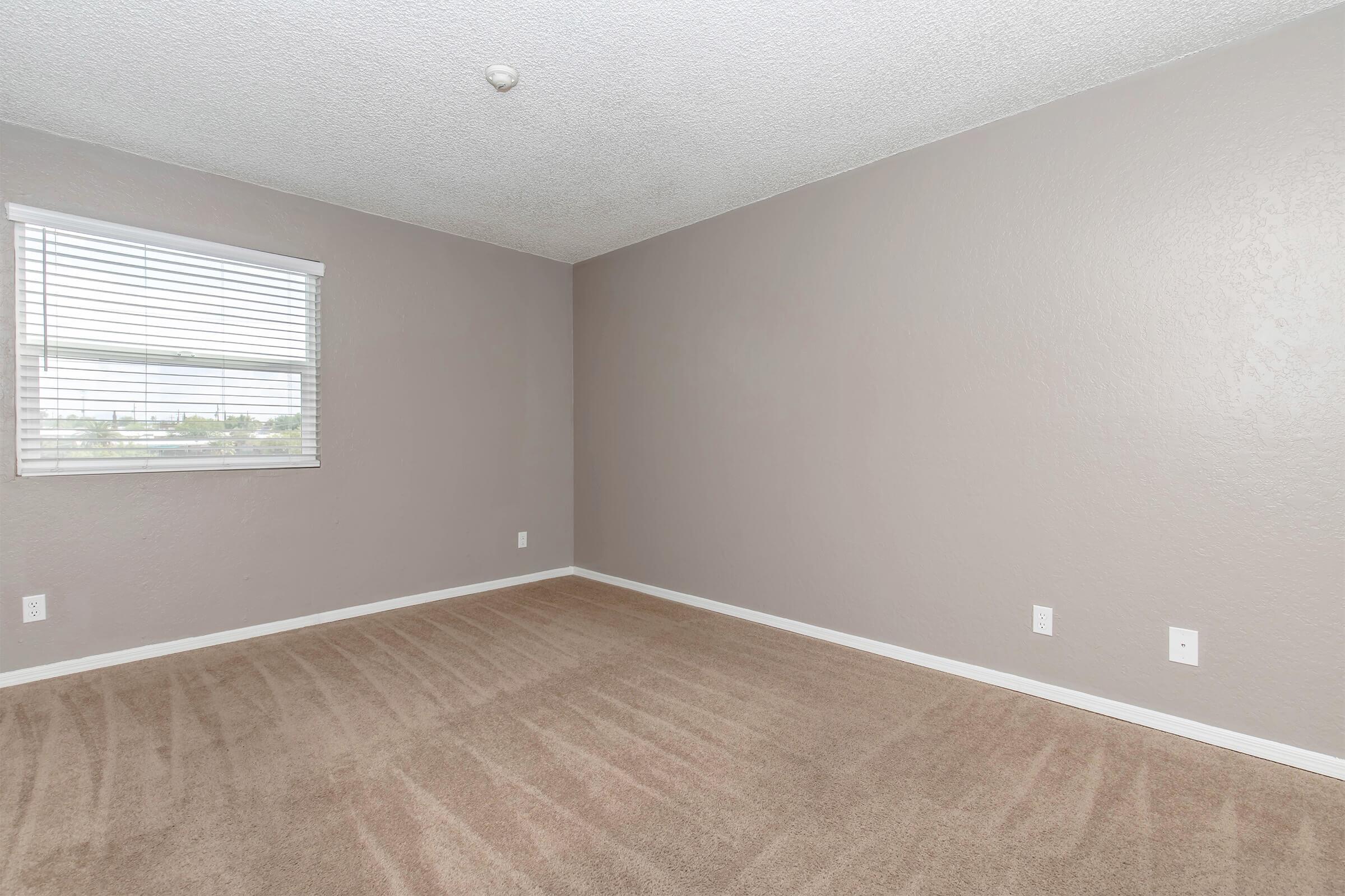 Empty room with light gray walls and beige carpet. A window with white blinds on one wall allows natural light. No furniture is present, creating a spacious and uncluttered atmosphere.
