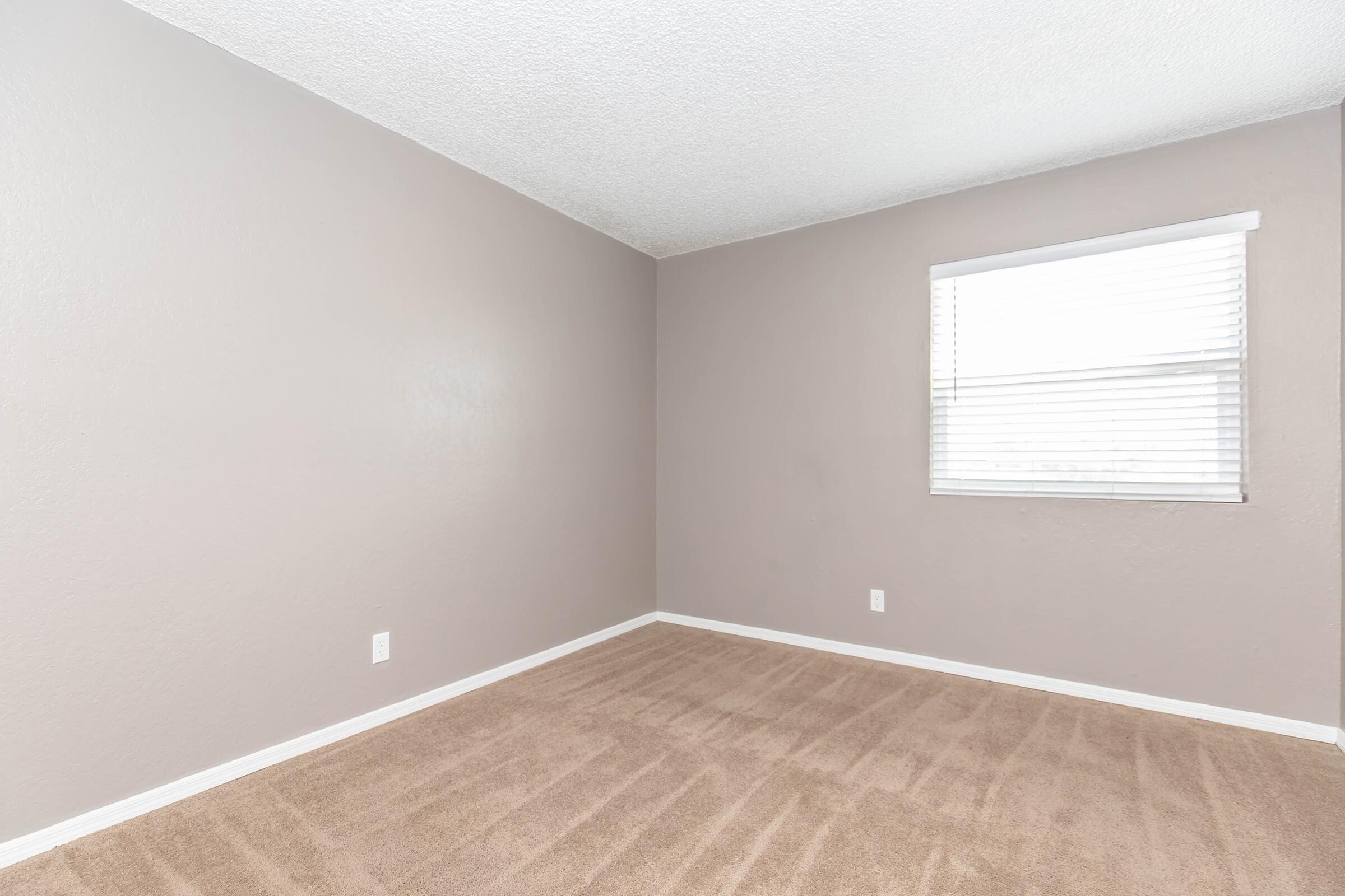 Empty room with light gray walls and a window featuring blinds. The carpeted floor is a soft beige color. There are no furnishings in the space, giving it a clean and minimalistic appearance.